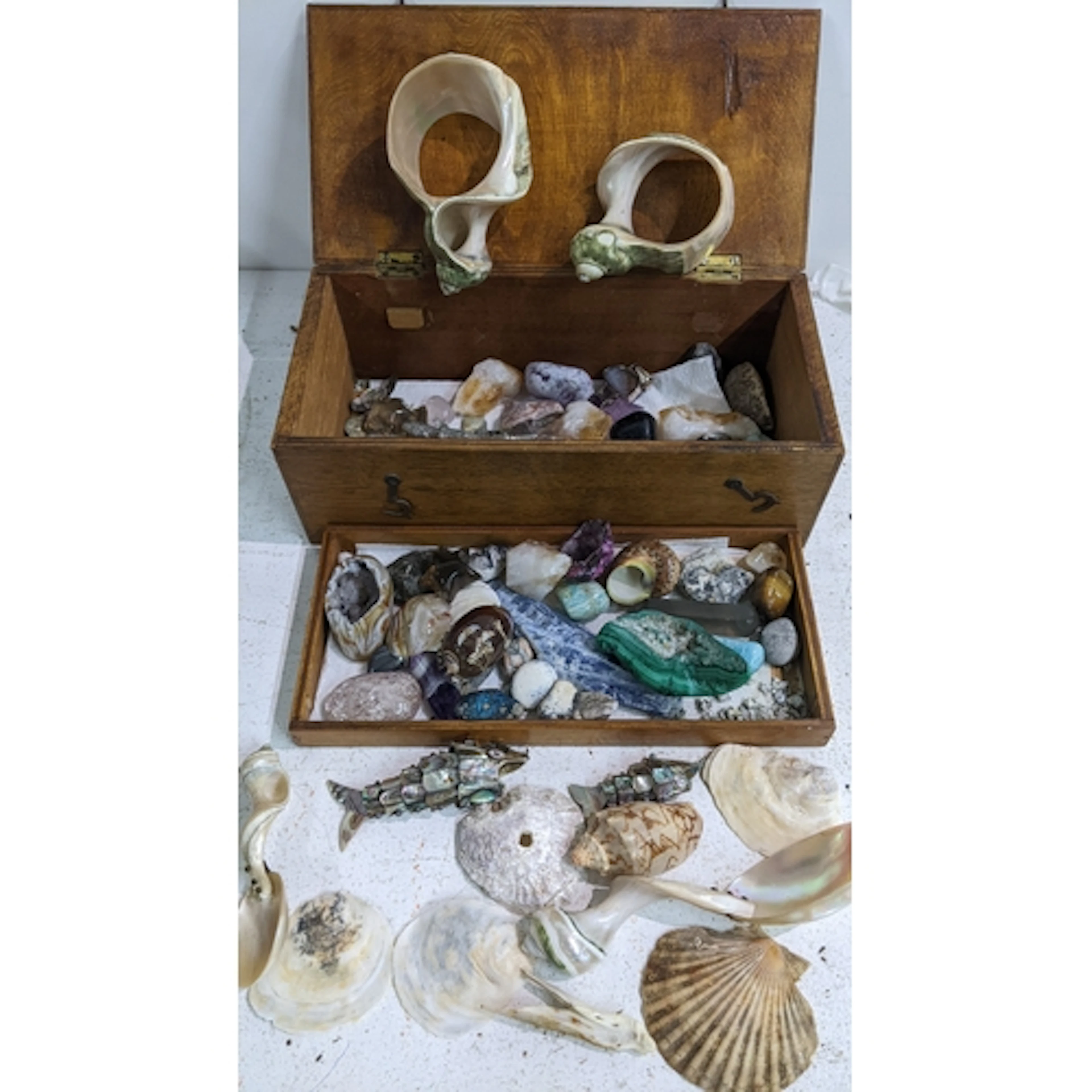 A collection of shells, hardstones, crystals and specimens t...