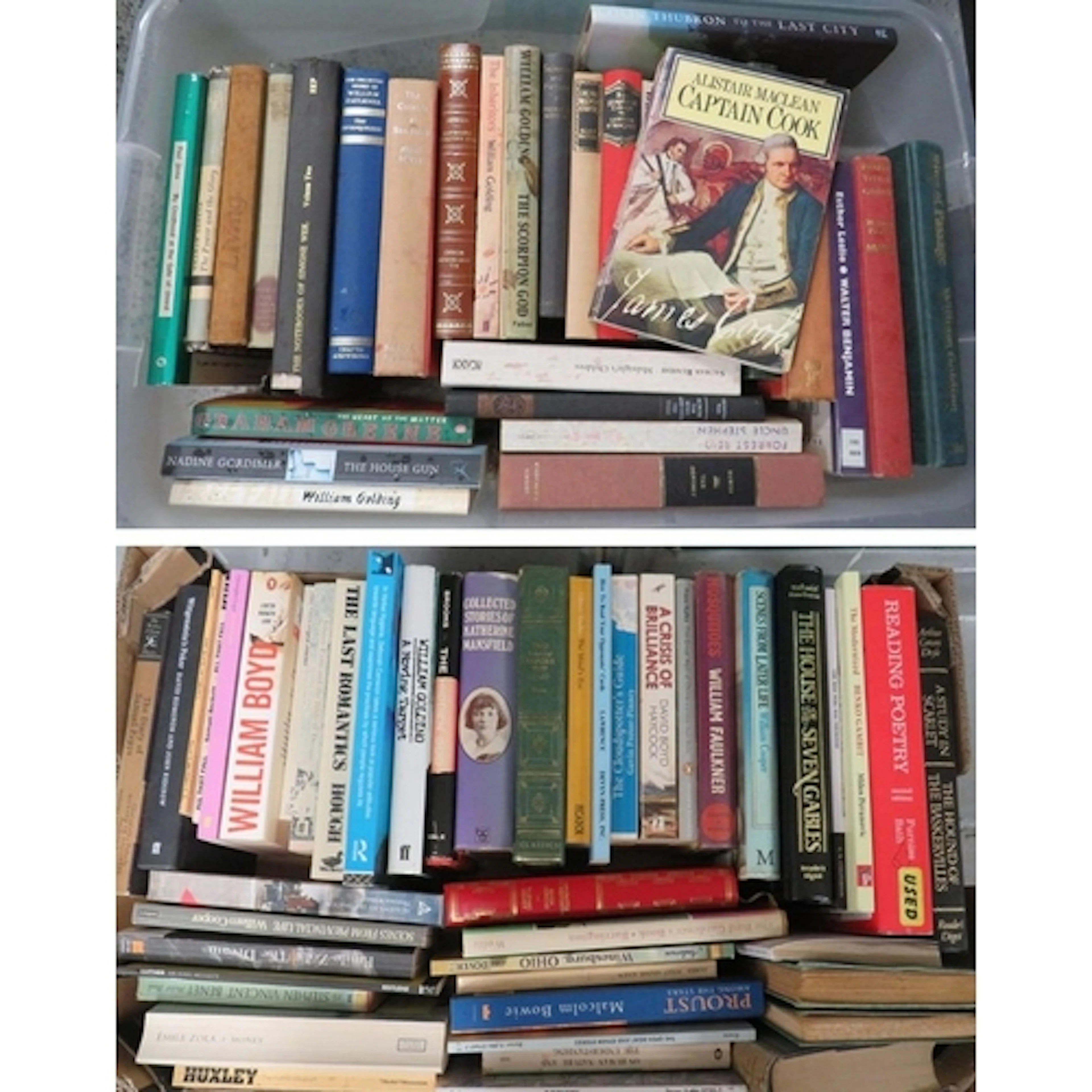 Books incl. Homer The Odyssey, My Childhood at the Gate of U...
