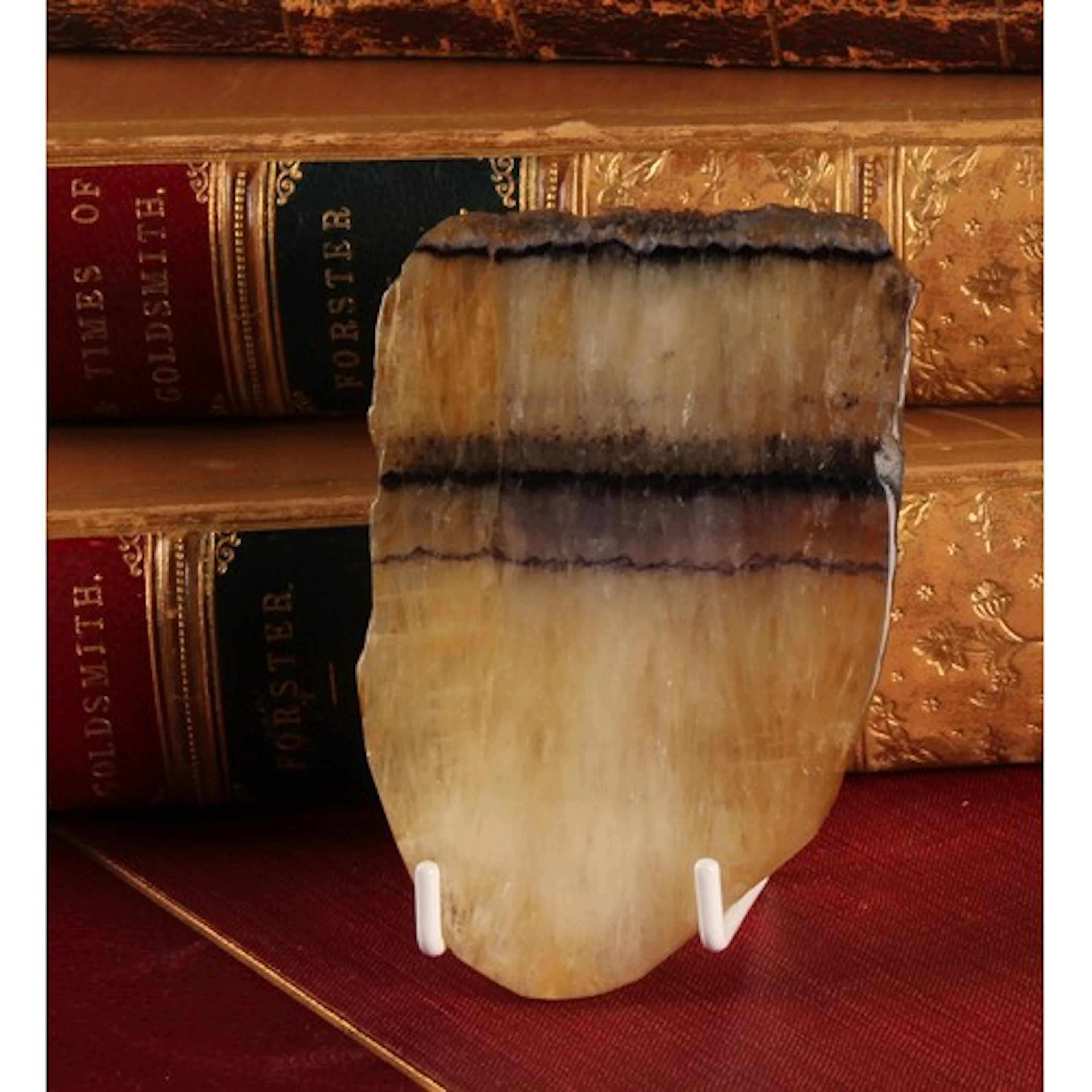 Natural History - a Blue John specimen, Millers Vein, 8cm x ...