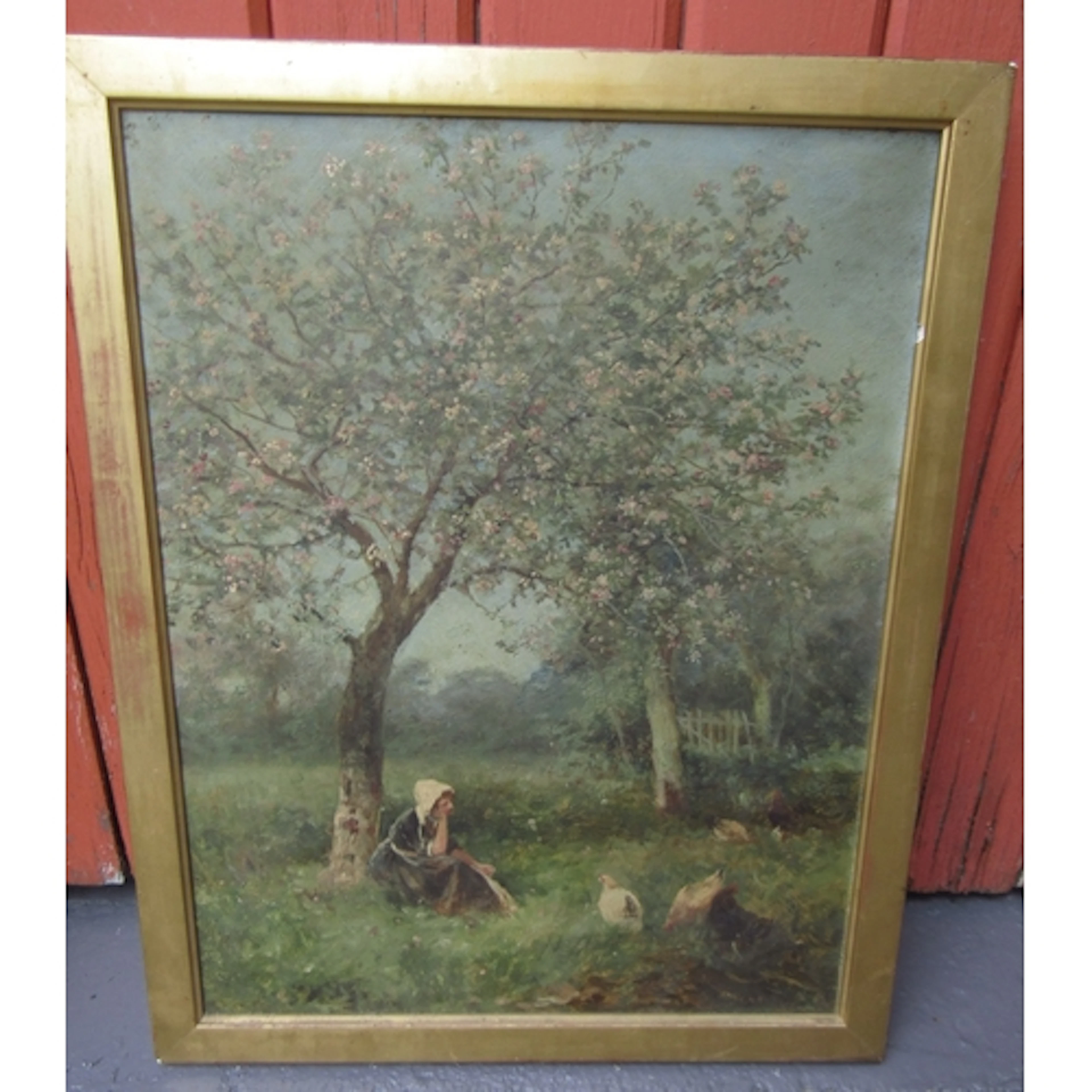 Irish School Orchard Scene Apple Tree in Spring Blossom Girl...