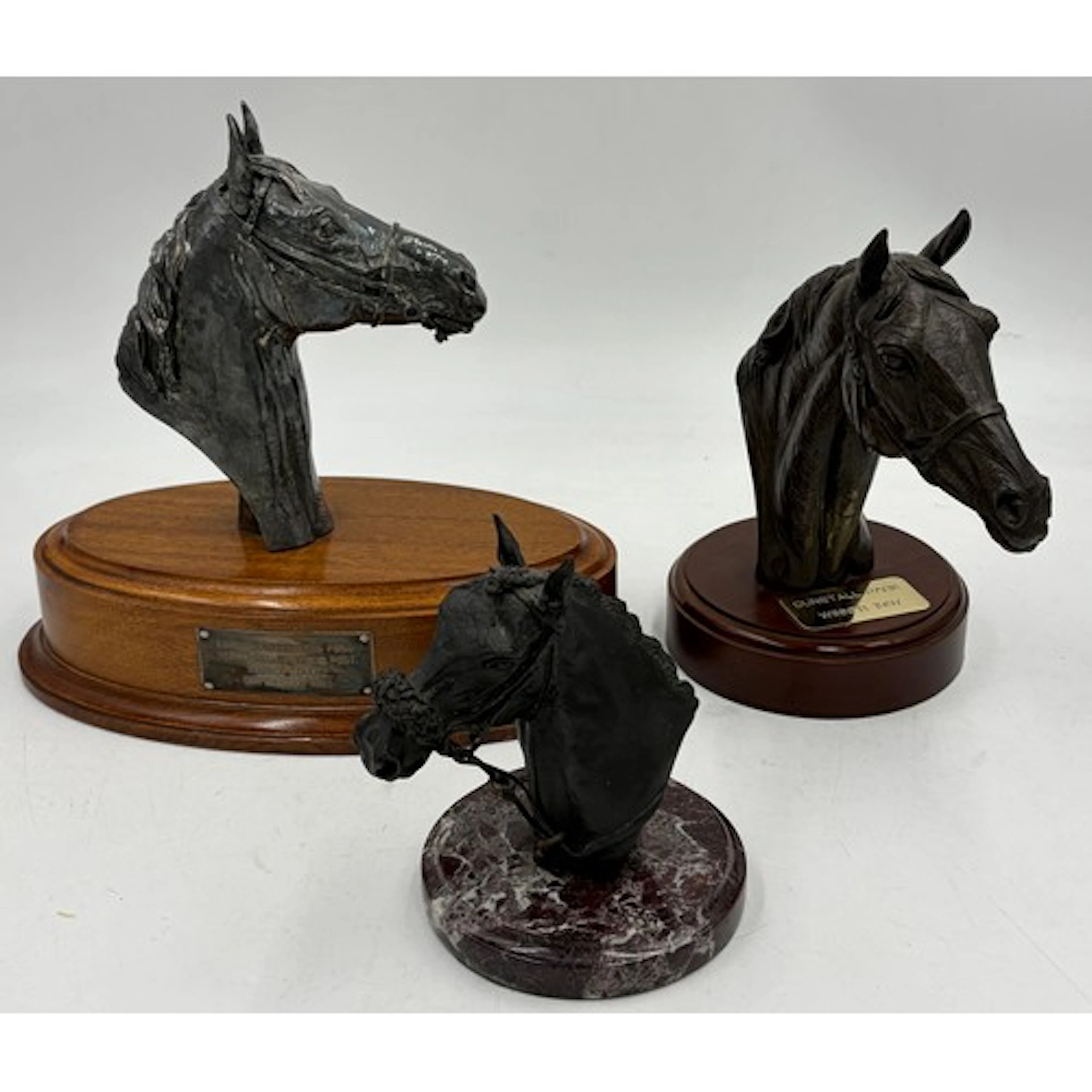 David Geenty (1945) Signed filled silver horse head 'Europea...