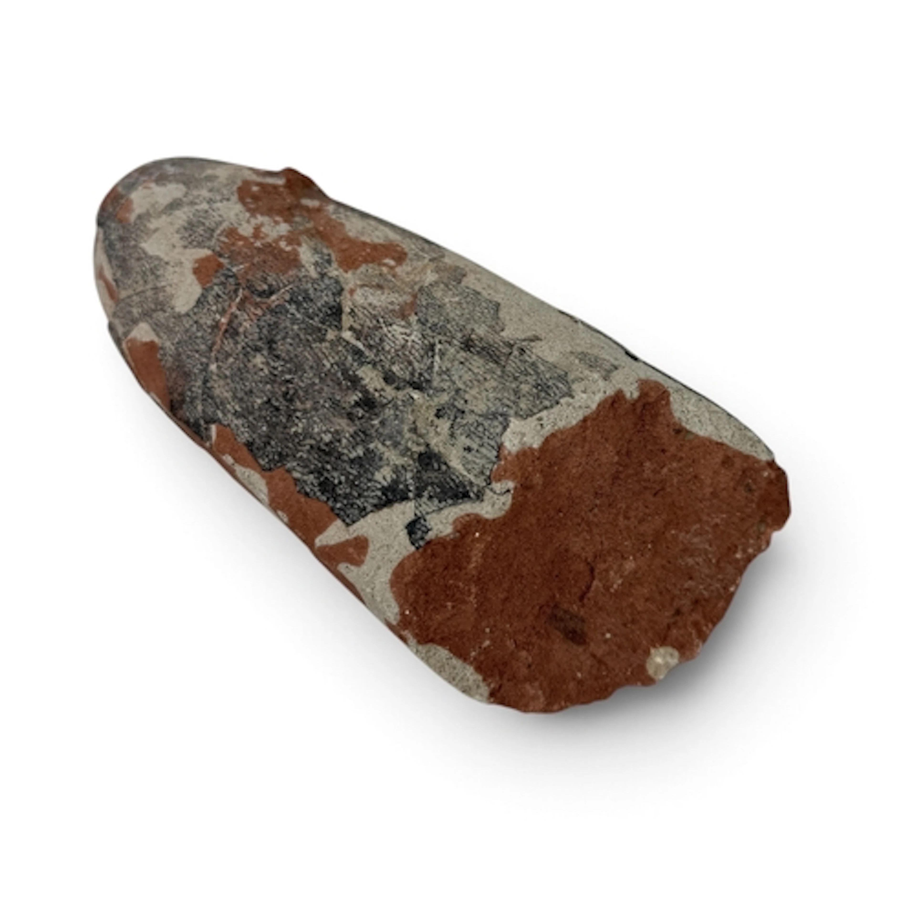 FOSSIL OVIRAPTOR EGG From the late Cretaceous period, 66 to ...