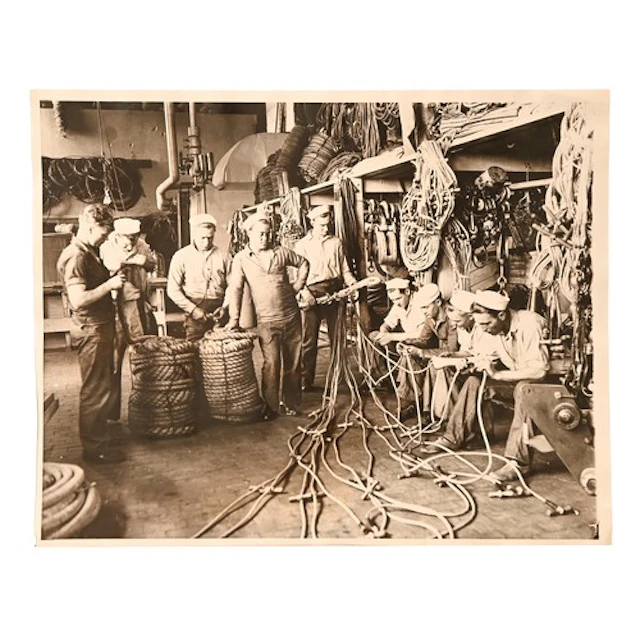Photography. A collection of official photographs and press ...