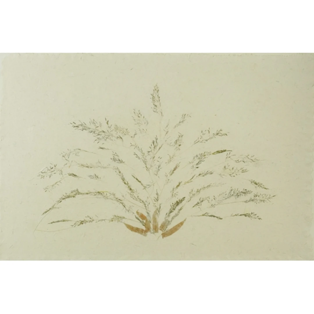 Large dried botanical grass specimen on textured hand made p...