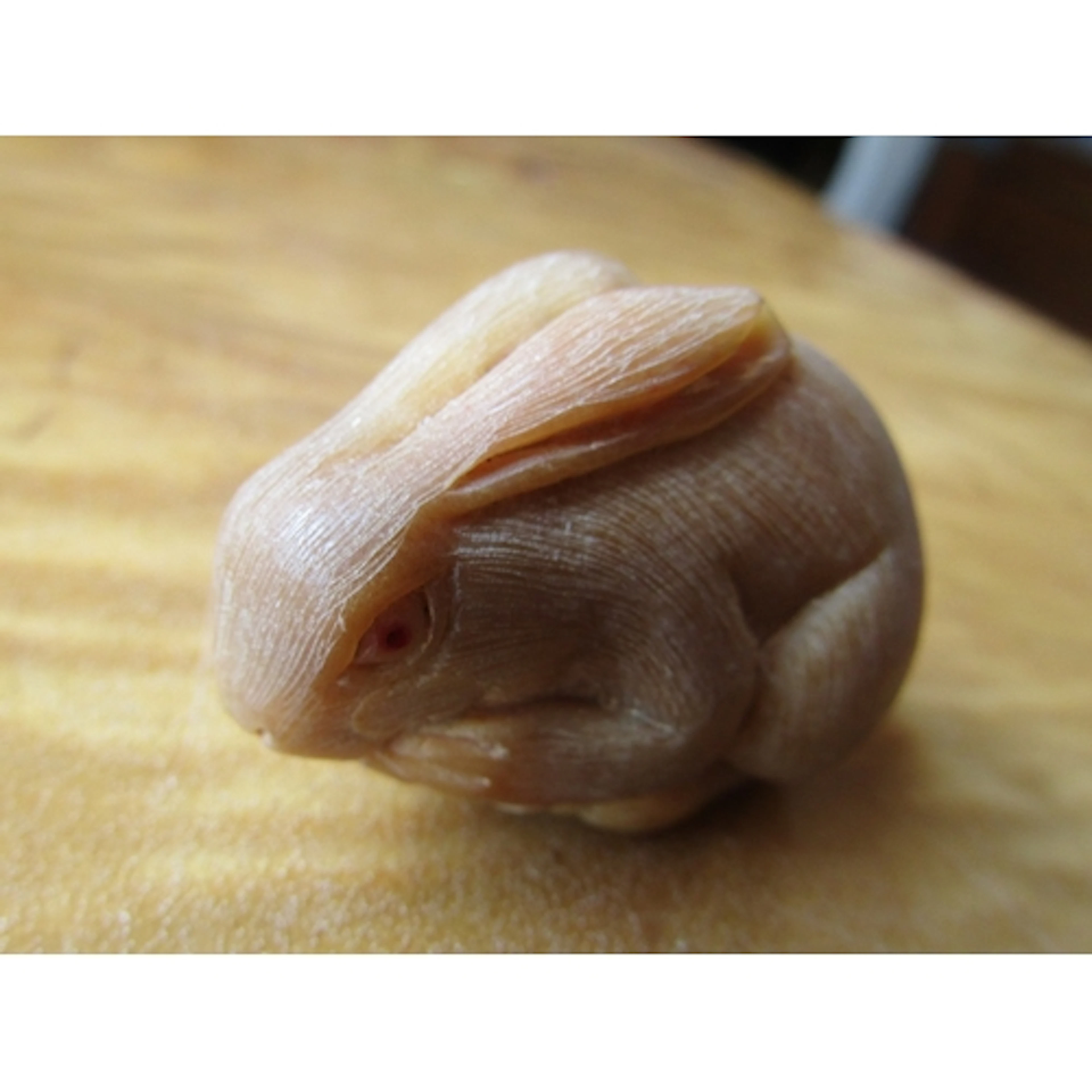 Japanese Netsuke Carved Figure of Rabbit