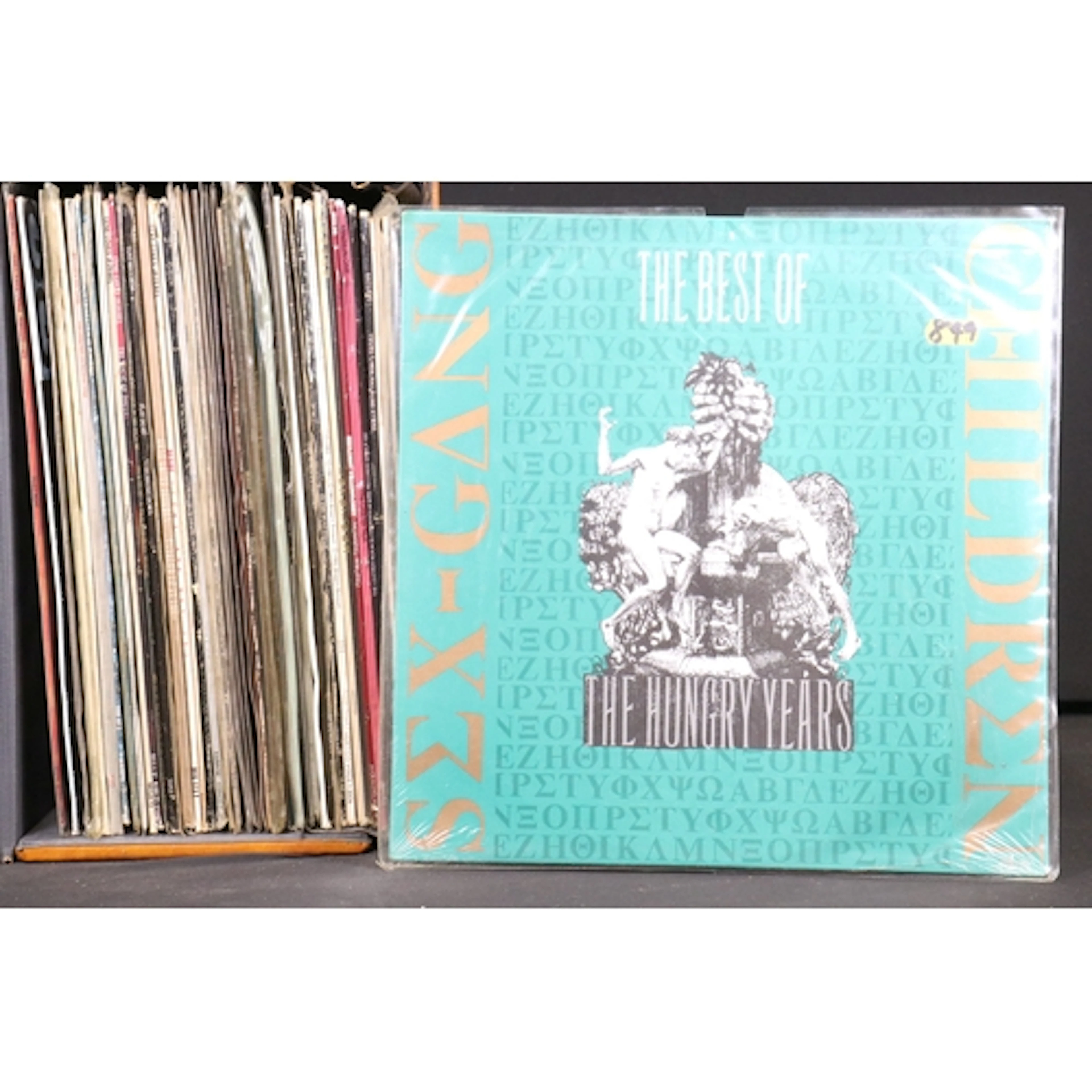Vinyl - 24 Goth / Post Punk LPs and 25 12" to include The Le...