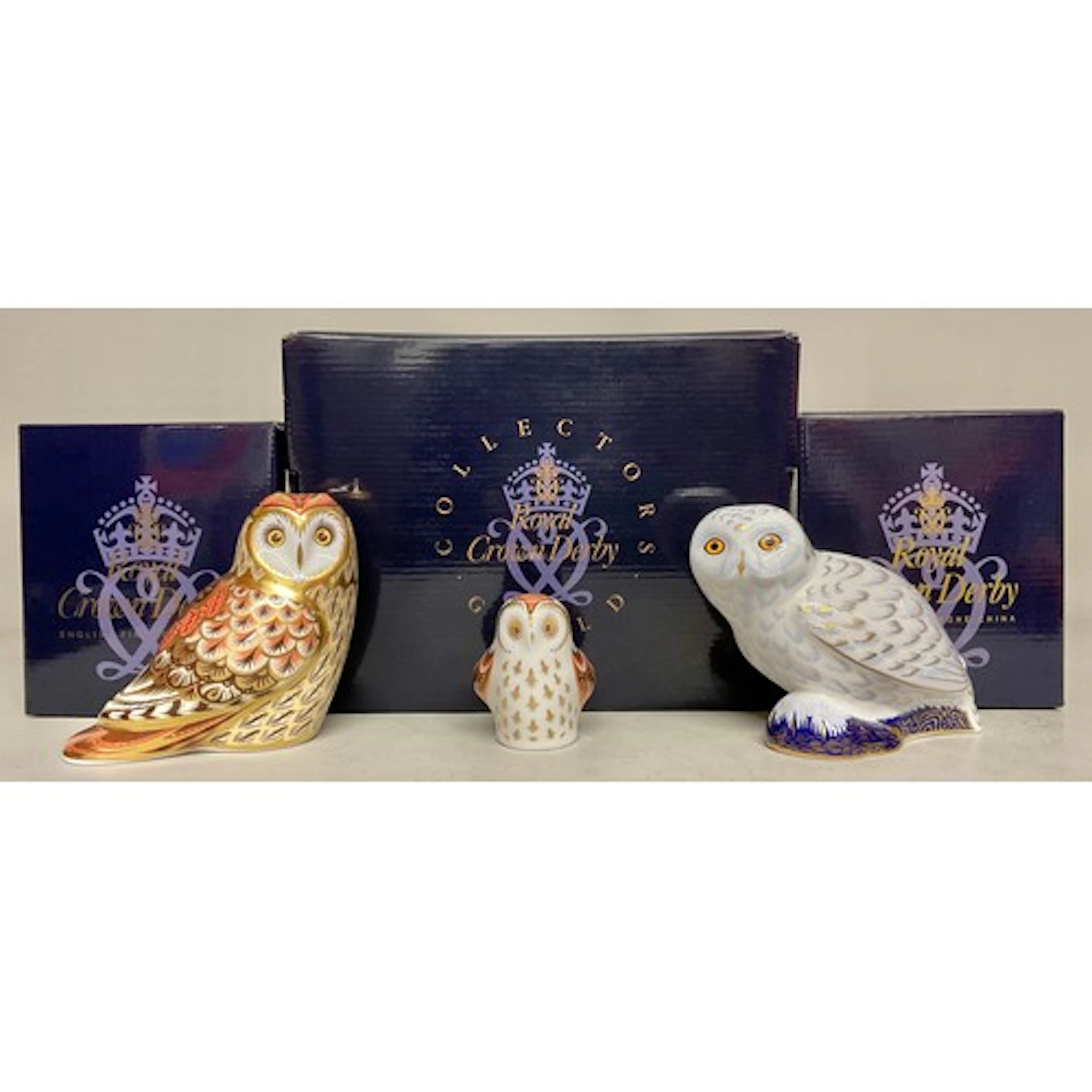 A Royal Crown Derby paperweight, Snowy Owl, Collectors Guild...