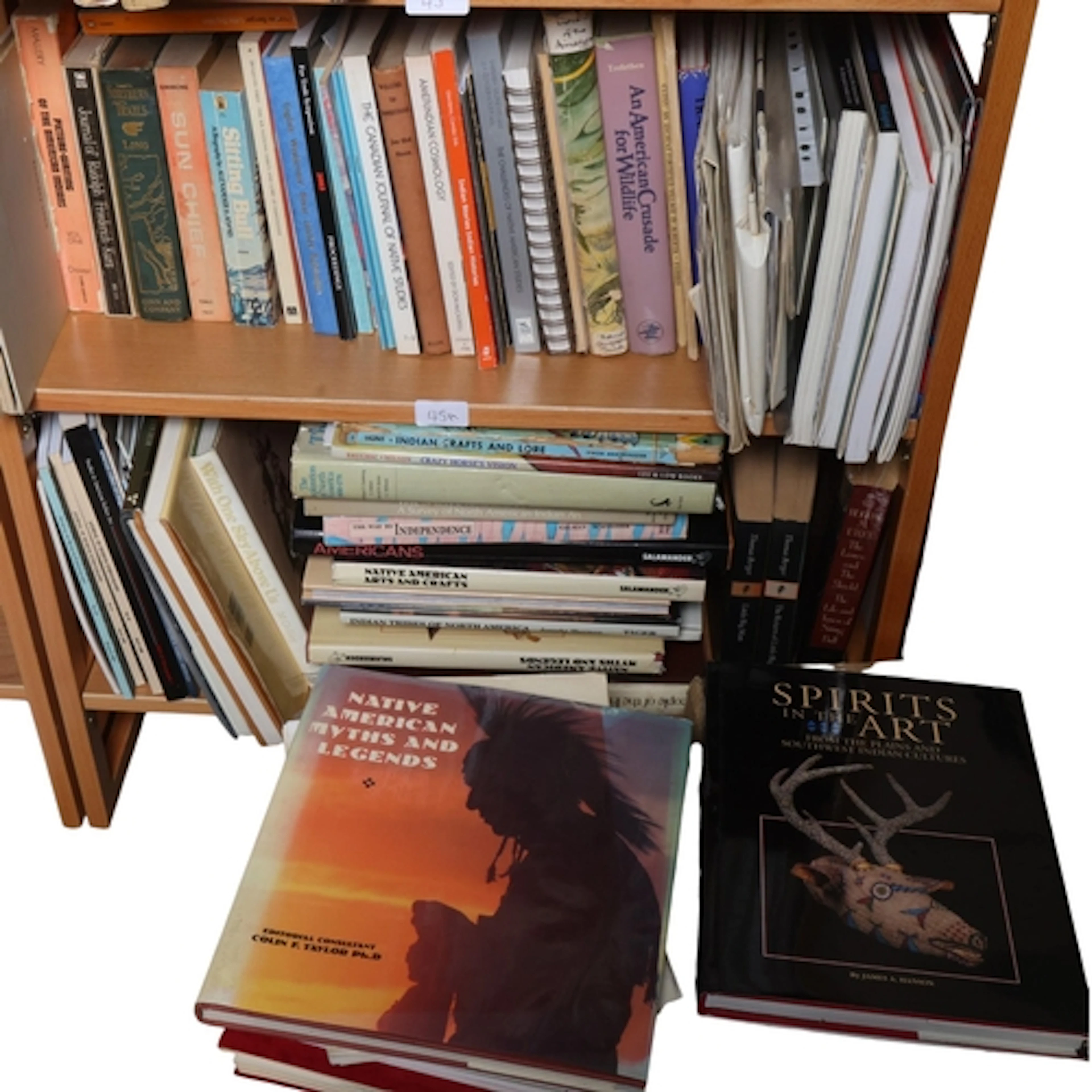 Two shelves of books, including We Are Still Here, The Algon...