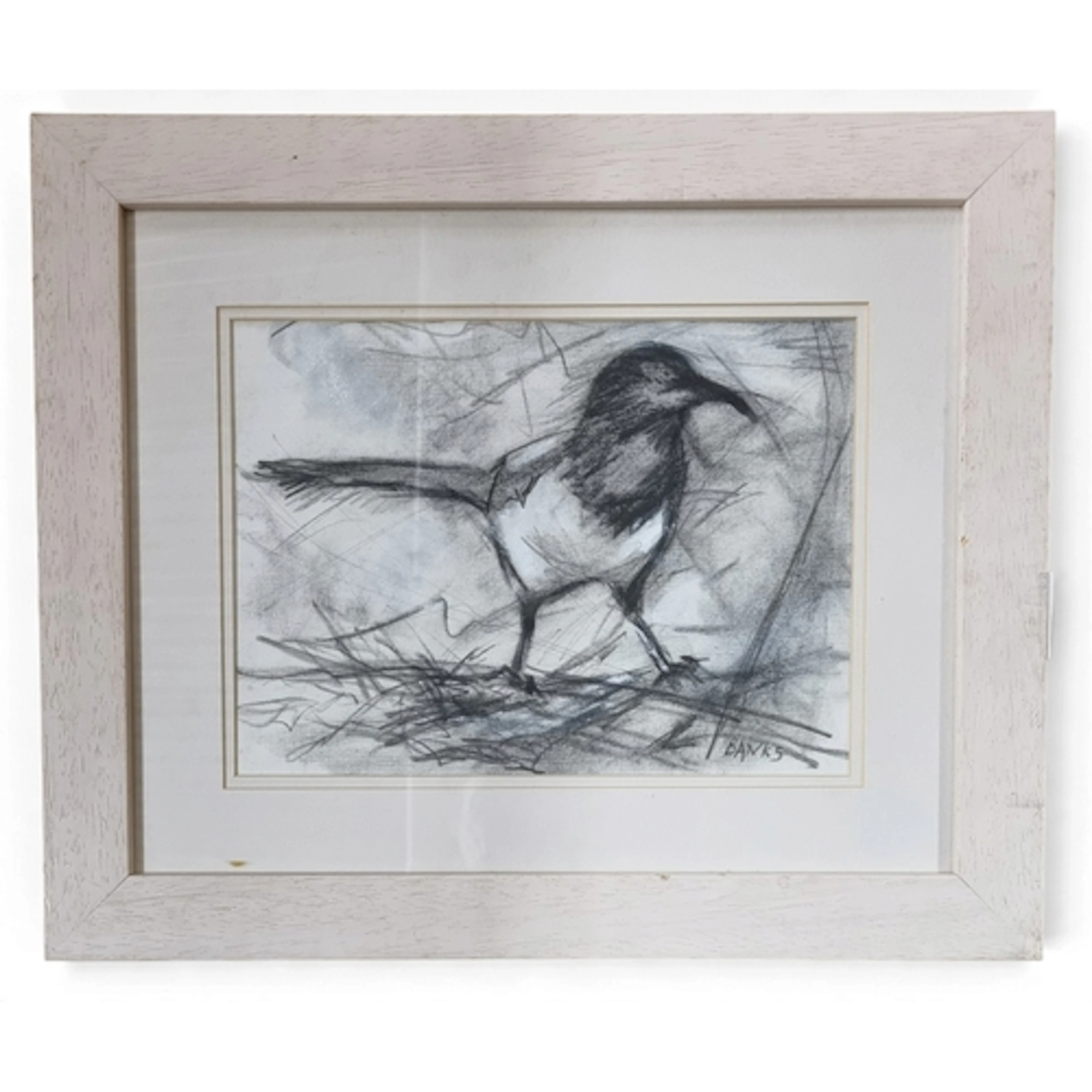 In the manner of Margo Banks, a Charcoal Drawing of a magpie...