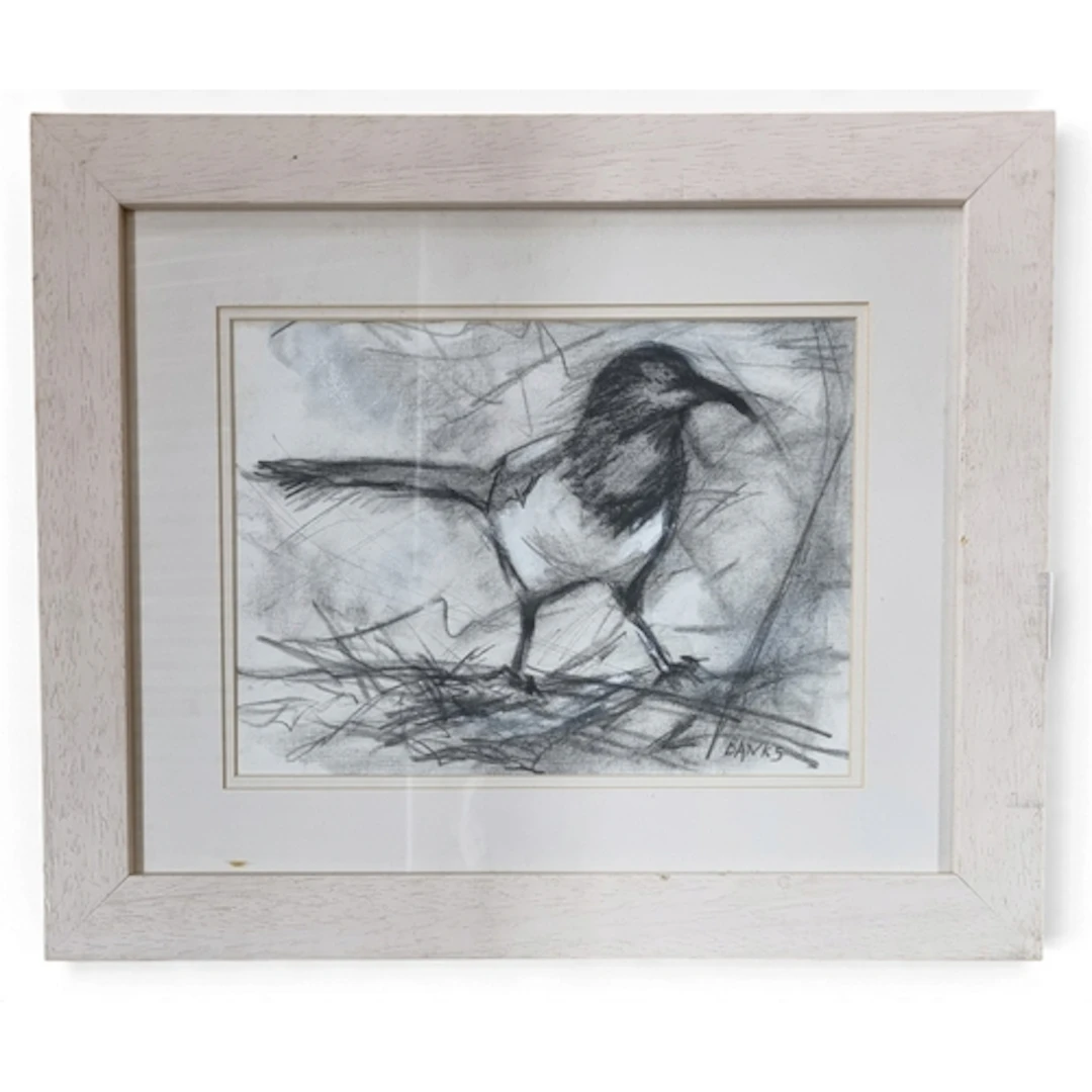 In the manner of Margo Banks, a Charcoal Drawing of a magpie...