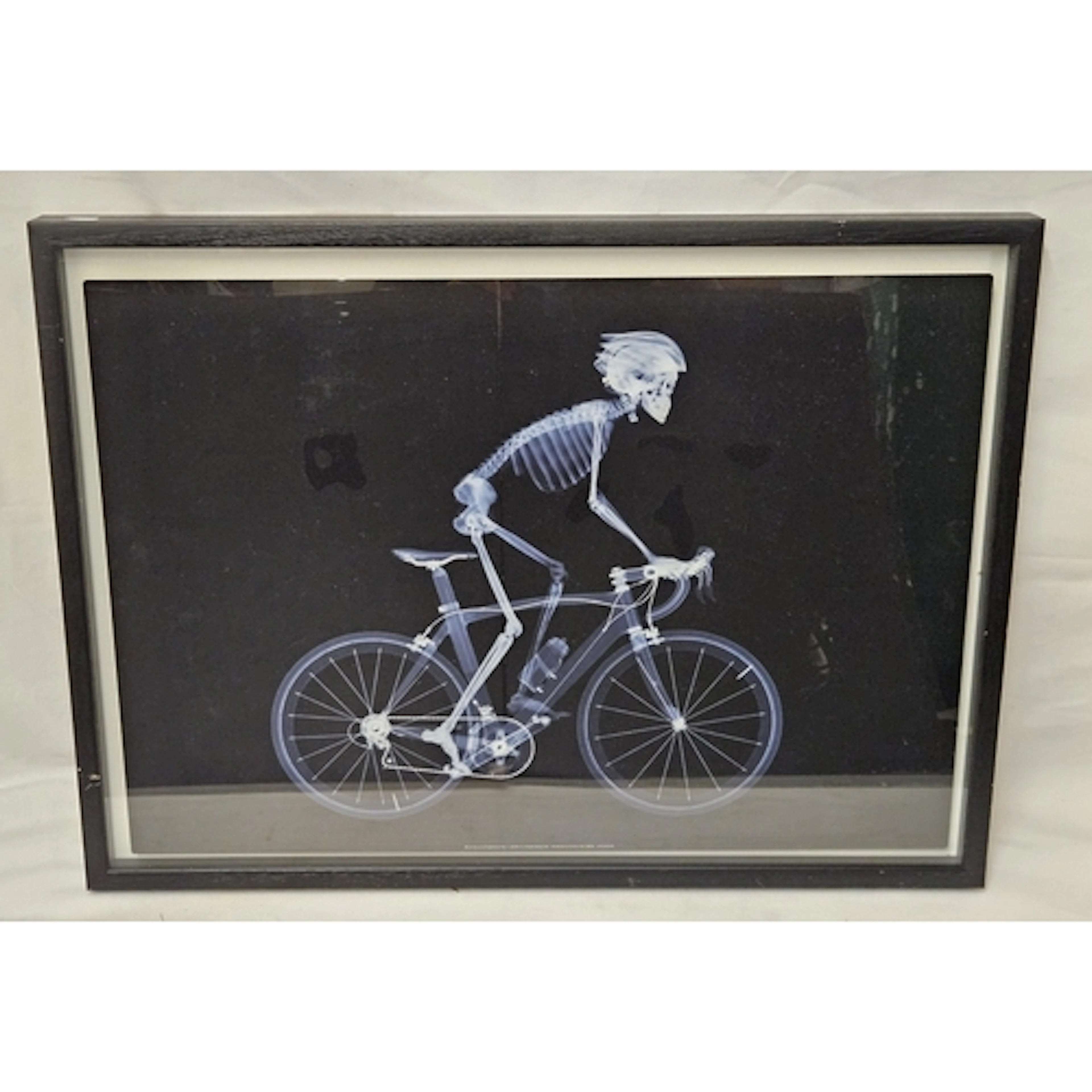 F/g X-Ray Style Print skeleton riding a bicycle by Nick Veas...