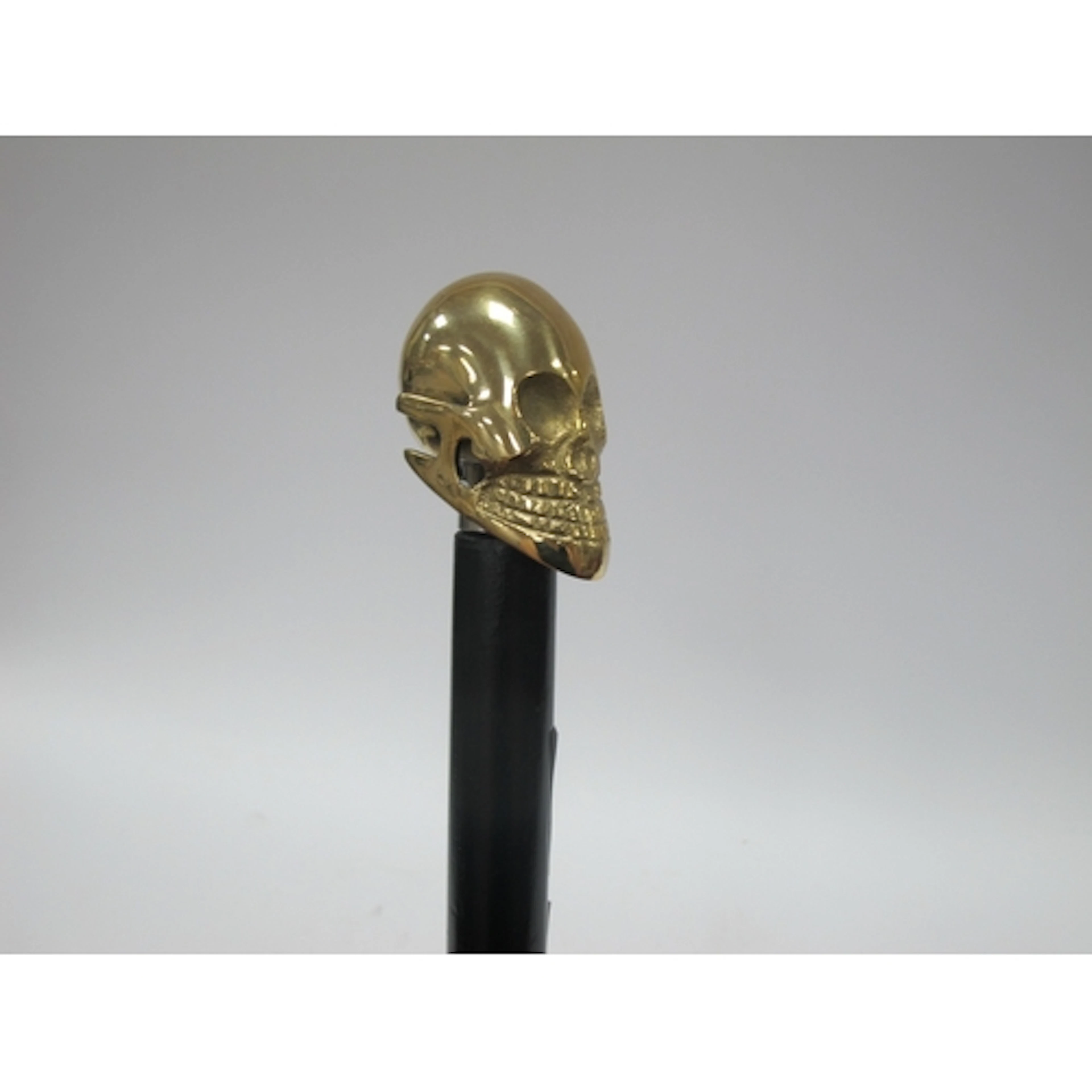 A Contemporary Walking Stick, with a brass skull handle.