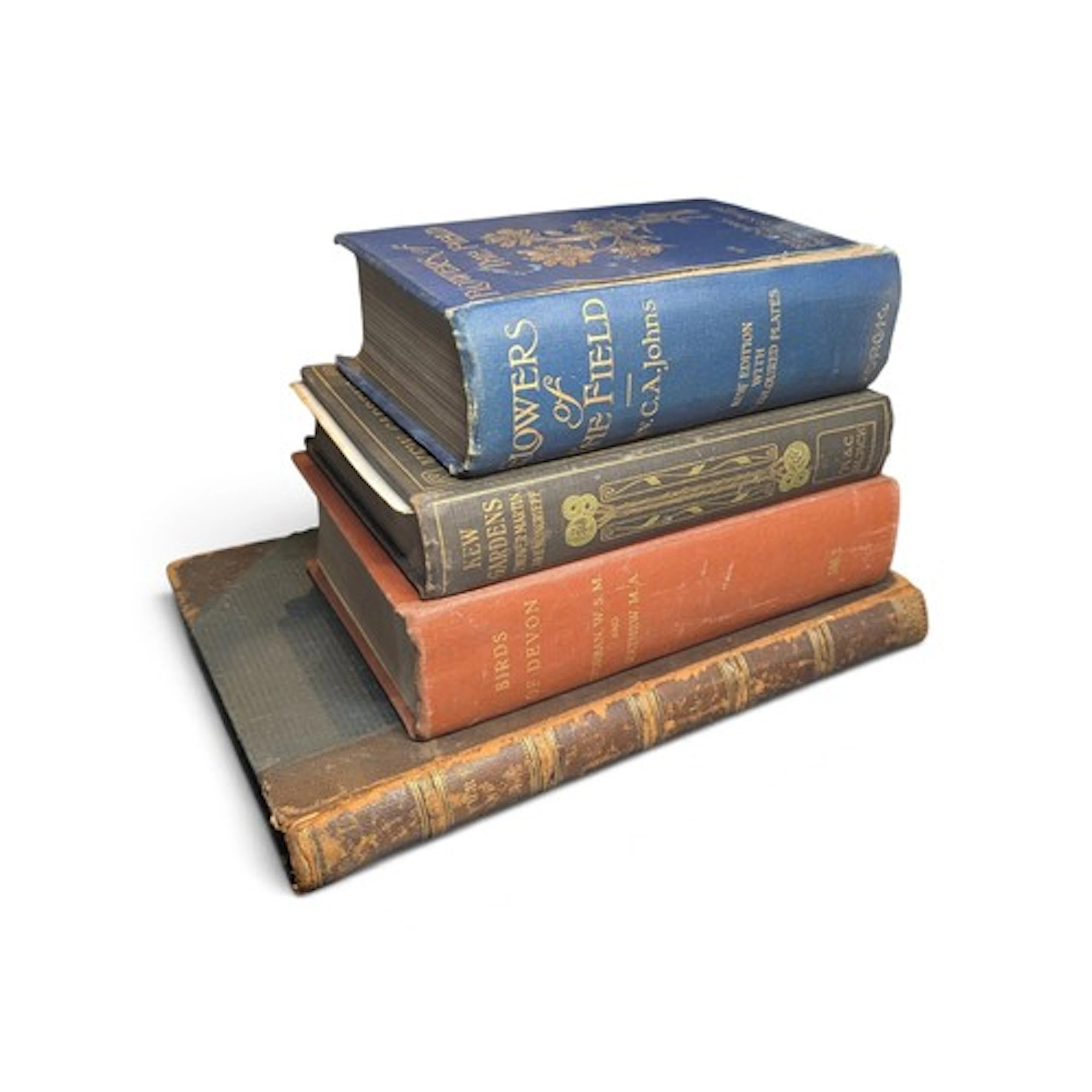 Four antiquarian natural history books: 'Birds of Devon' by ...