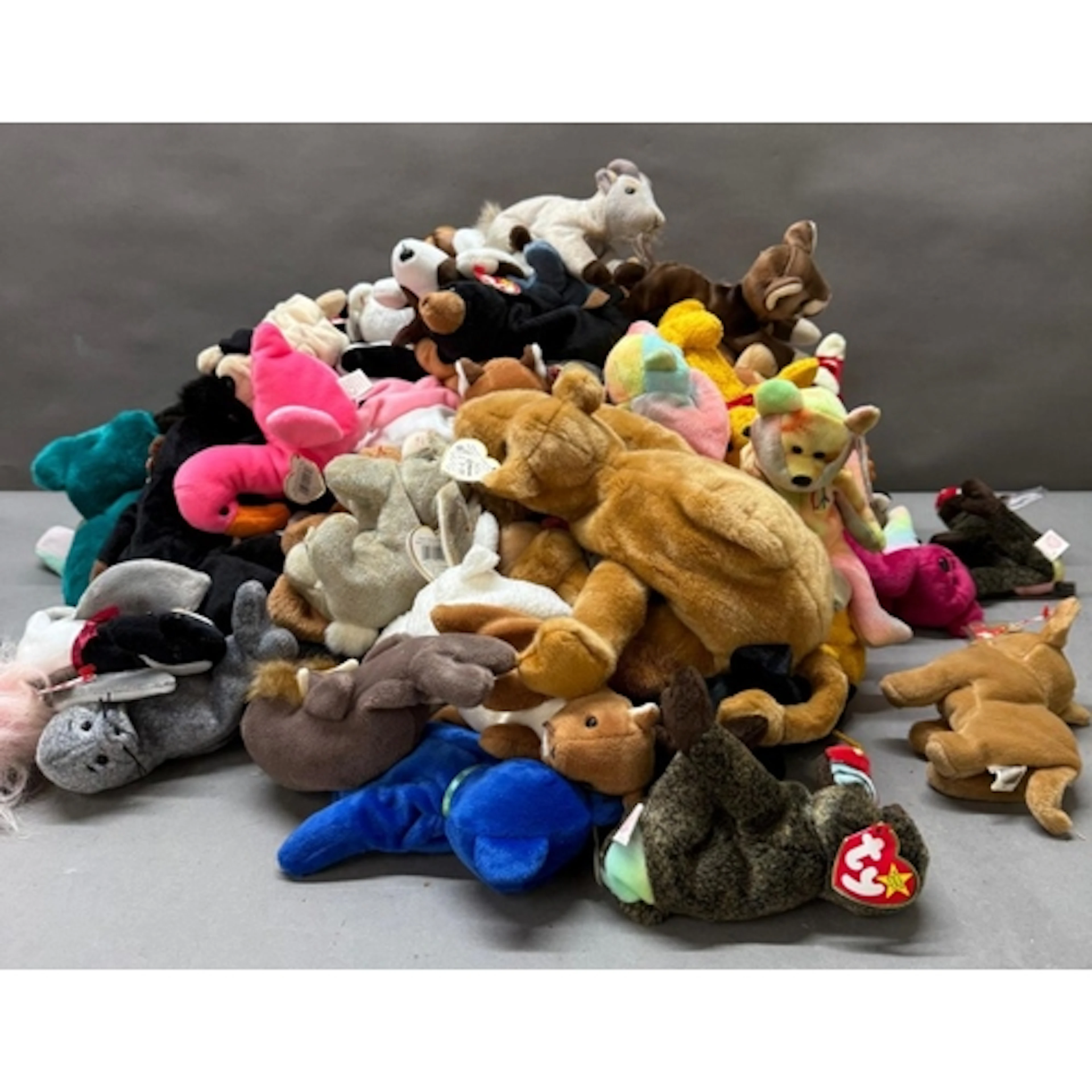 A large quantity of TY Beanie Babies.