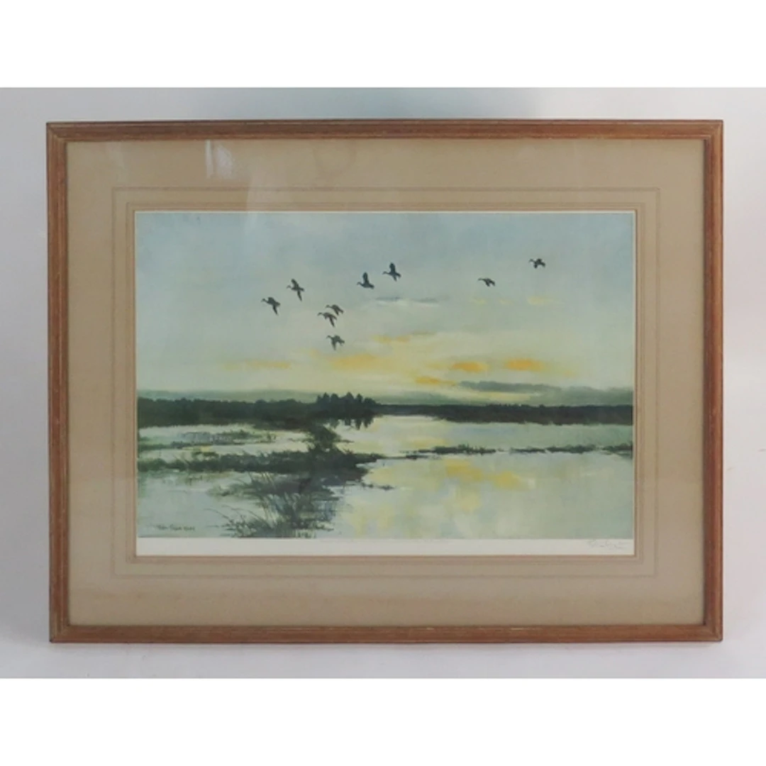 Sir Peter Scott (British 1909 - 1989) Painter and Ornitholog...