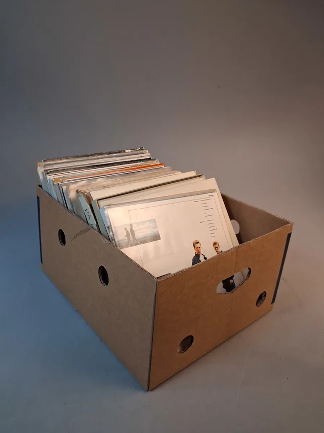 Diverse vinylskivor, LP skivor