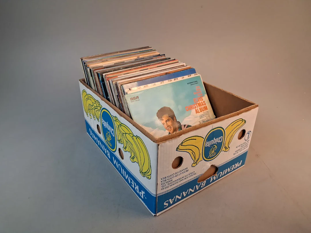 Diverse vinylskivor.