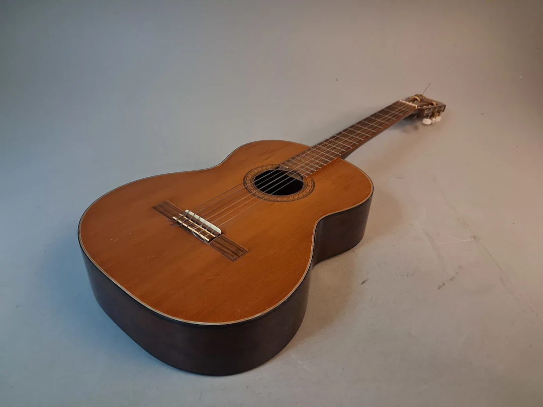 Gitarr, ARIA Congert Guitar.