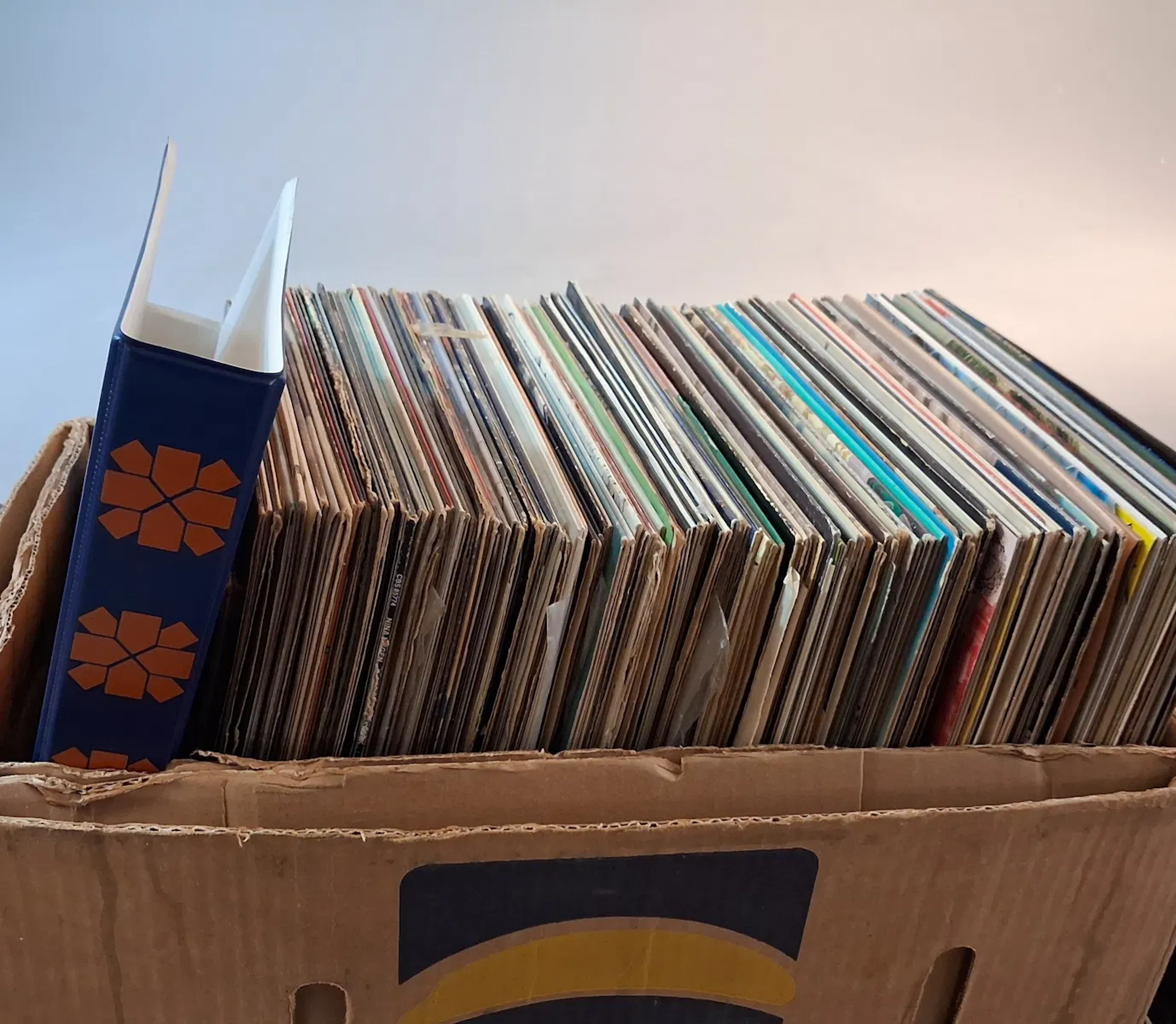 Diverse vinylskivor.