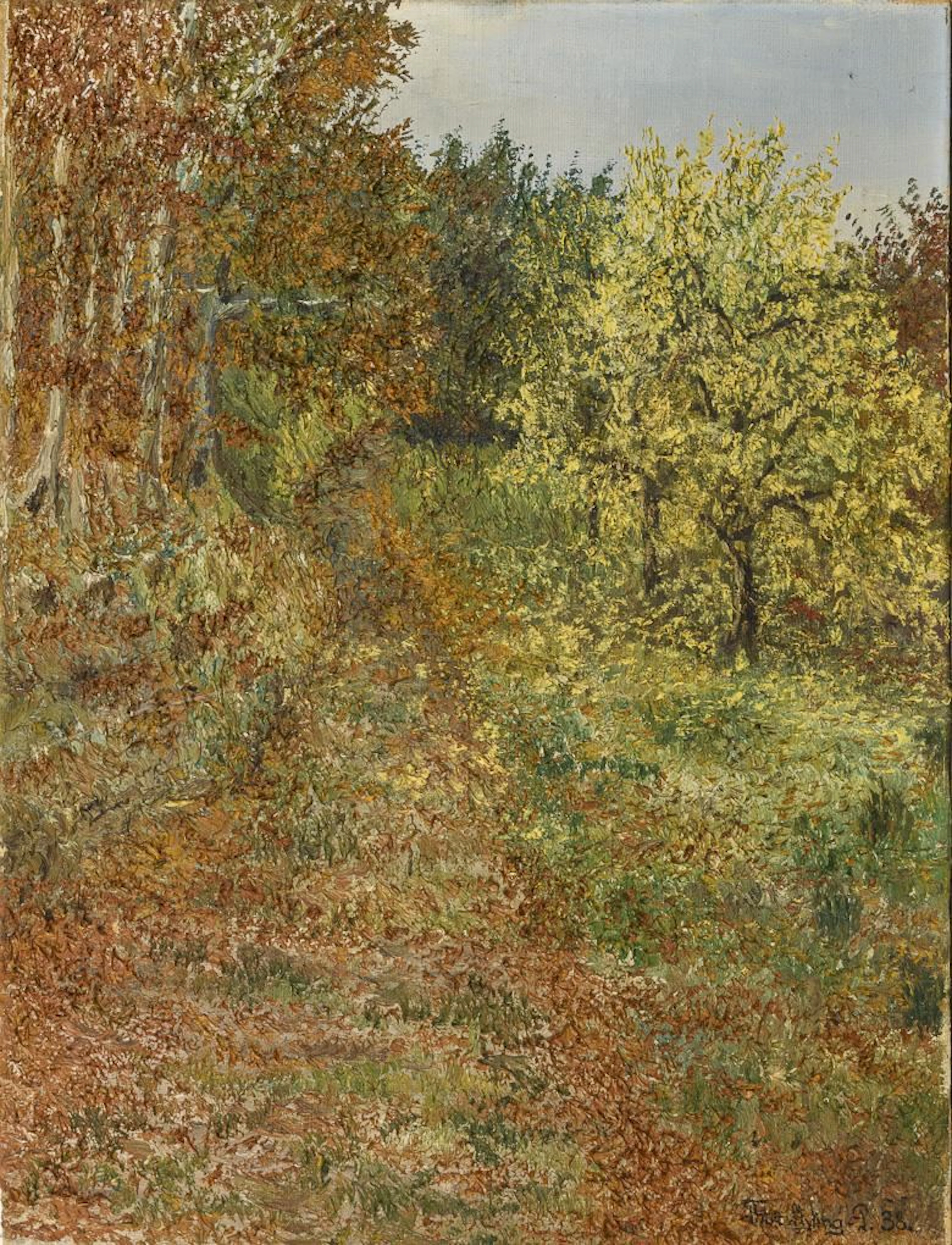 Indistinctly signed: Autumnal Forest Landscape