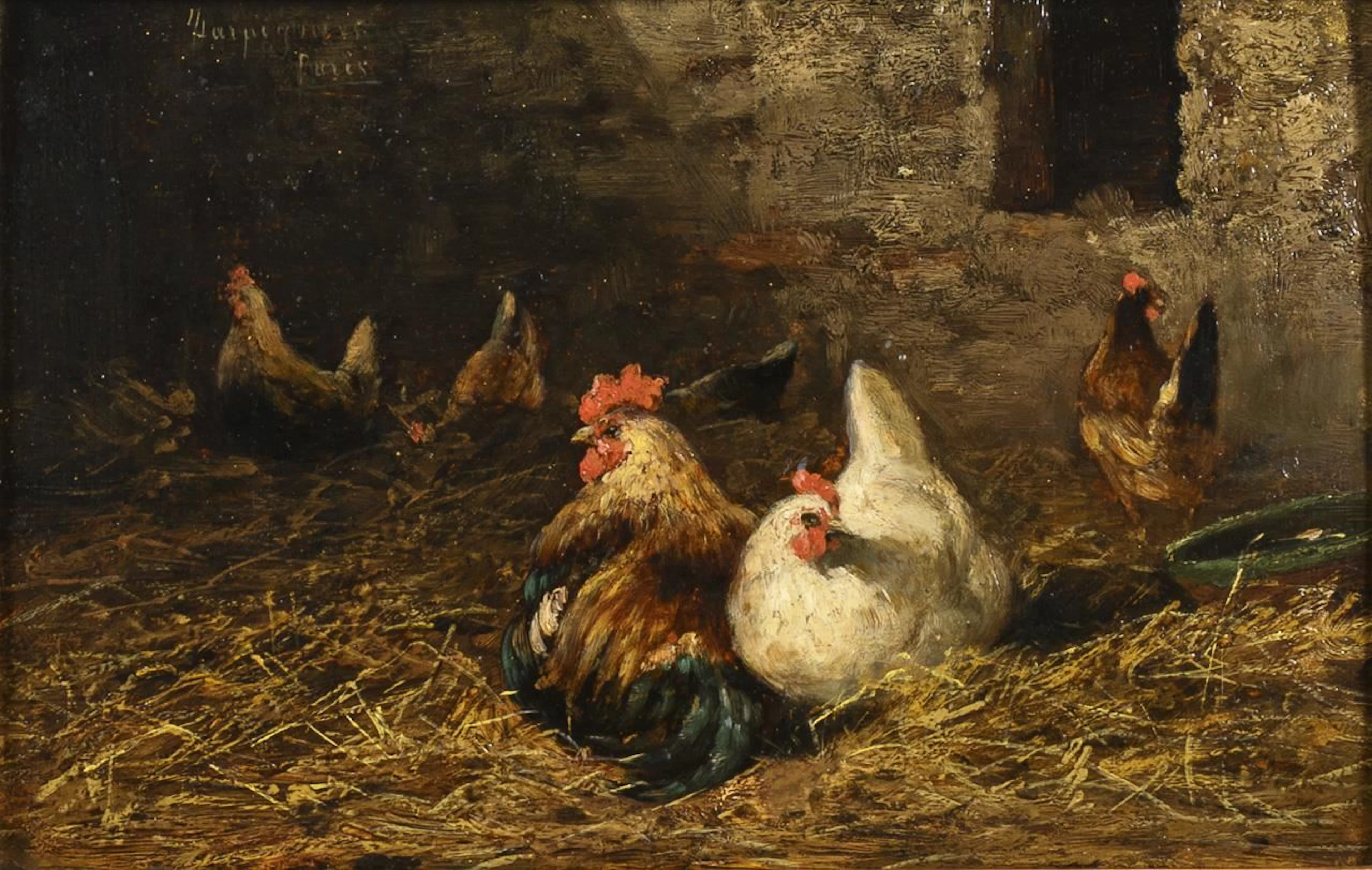 HARPIGNIES, HARPIGNIES, HARPIGNIES, Poultry in Straw