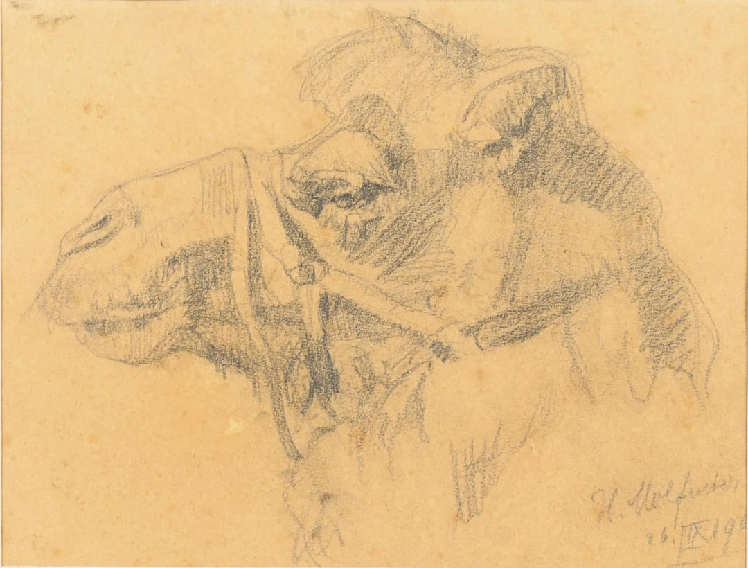 MOLFENTER, Hans(1884–1979), MOLFENTER, Hans(1884–1979), MOLFENTER