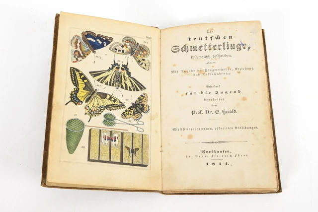 HEROLD, E, HEROLD, E, HEROLD, E, "A Systematic Description of German