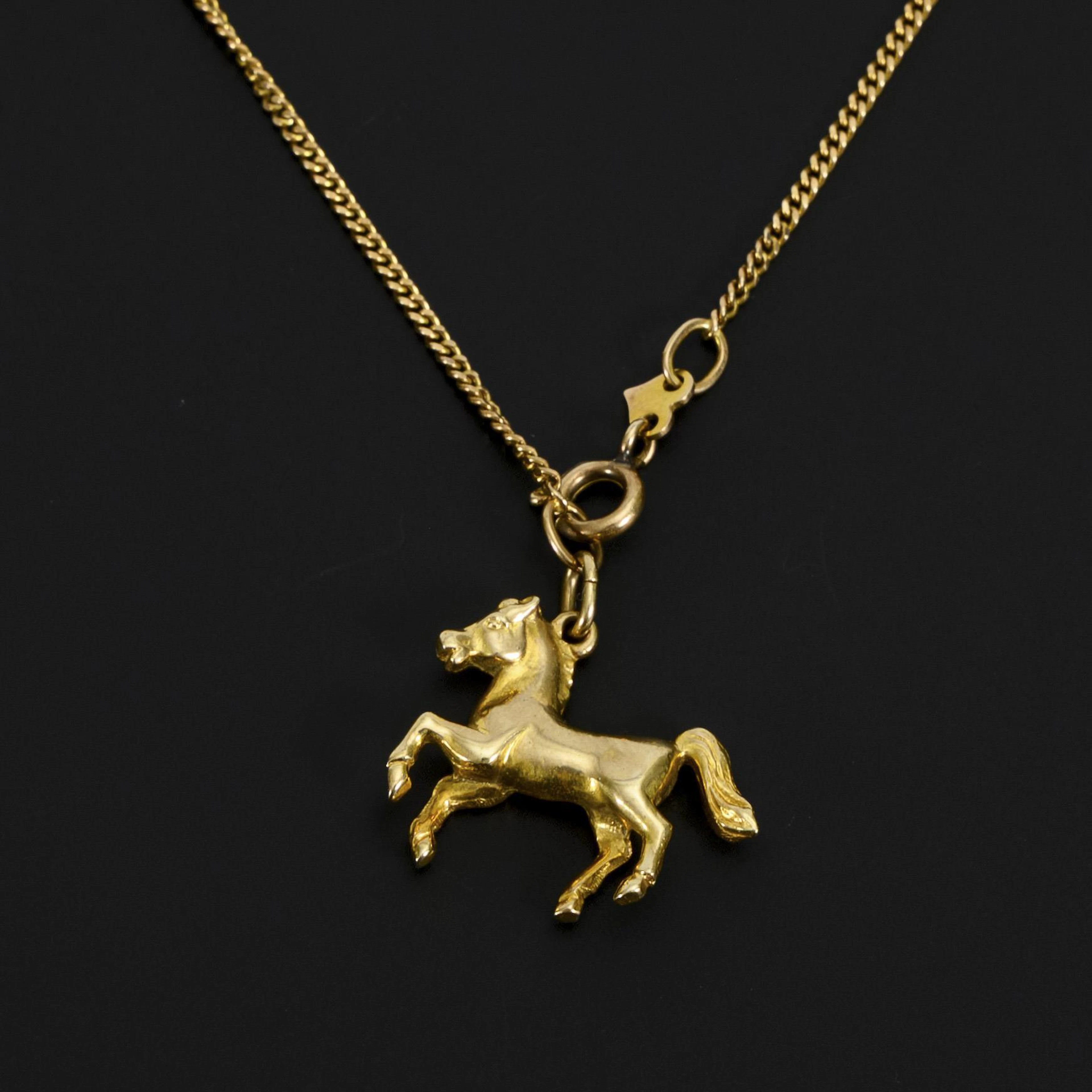Horse pendant on chain.