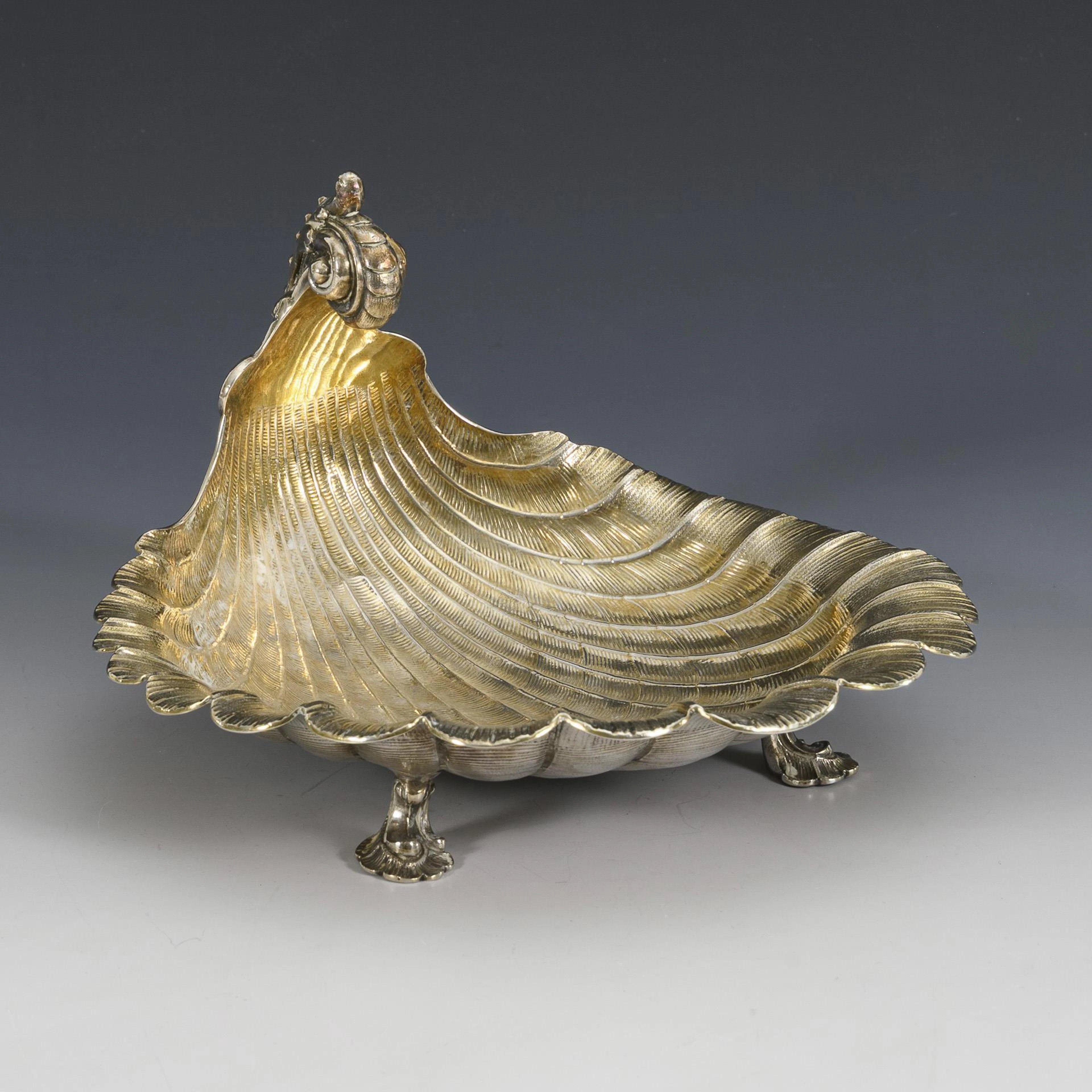 Silver conch shell.