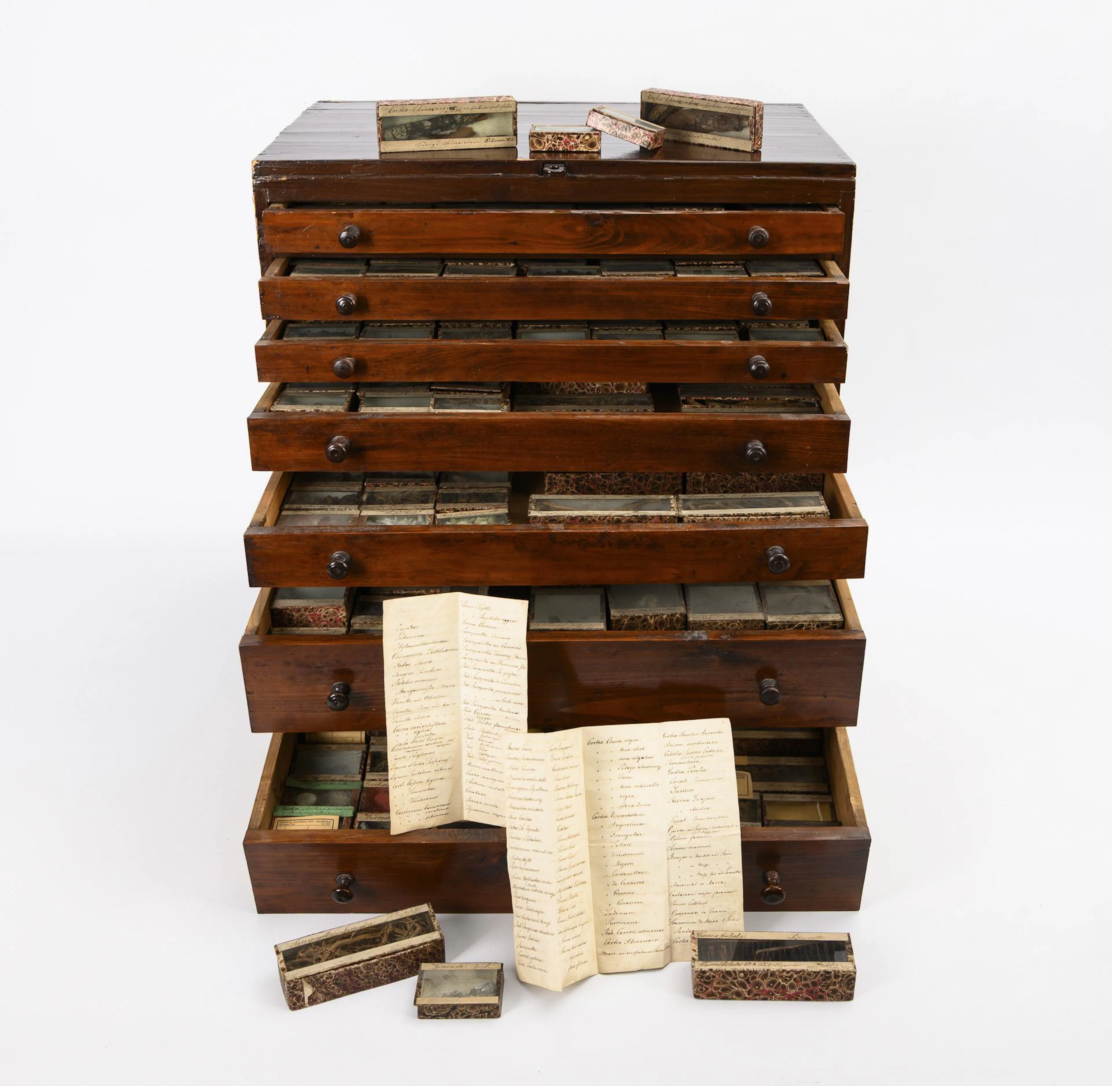 Historical medicinal plant collection in original collection cabinet.