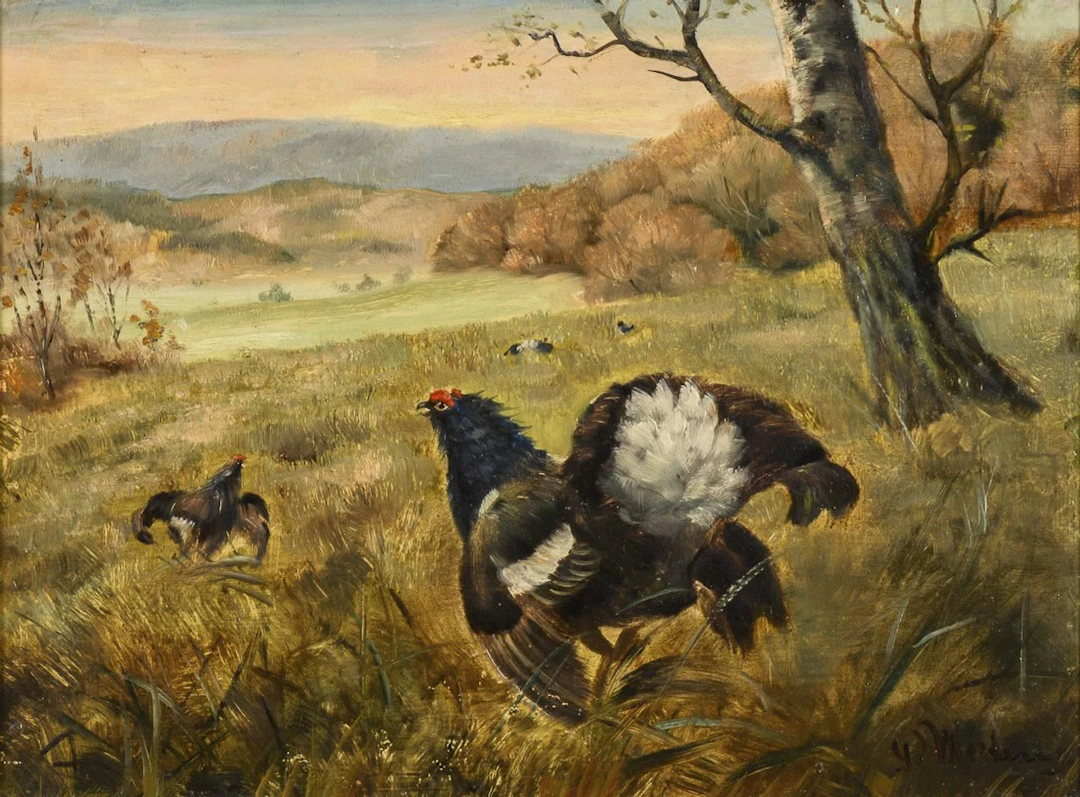 MERTENS, P. MERTENS, P. MERTENS, P. Black Grouse