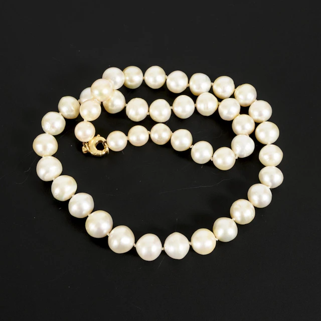 South Sea pearl necklace.