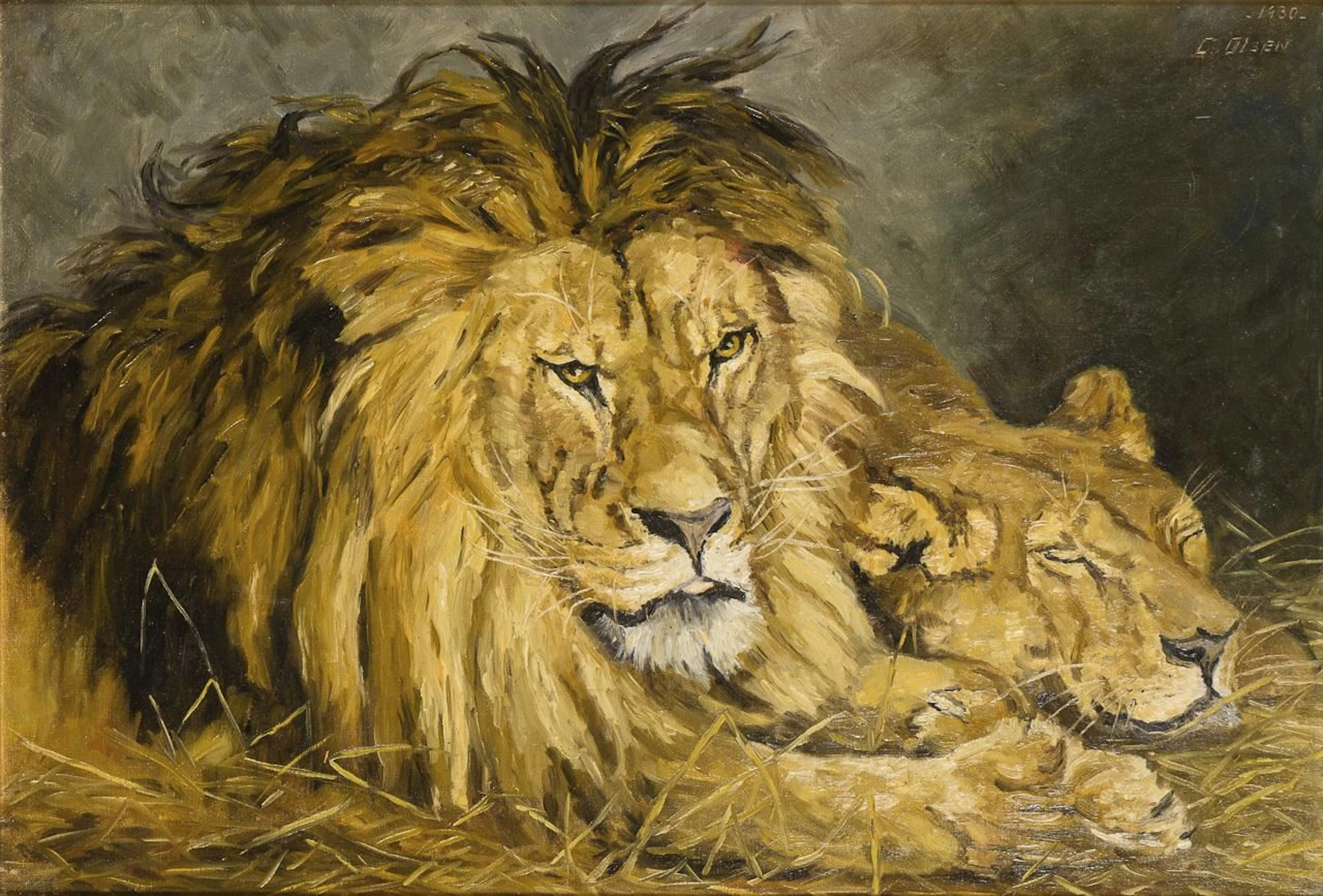 OLSEN, C. OLSEN, C. OLSEN, C. Pair of Lions