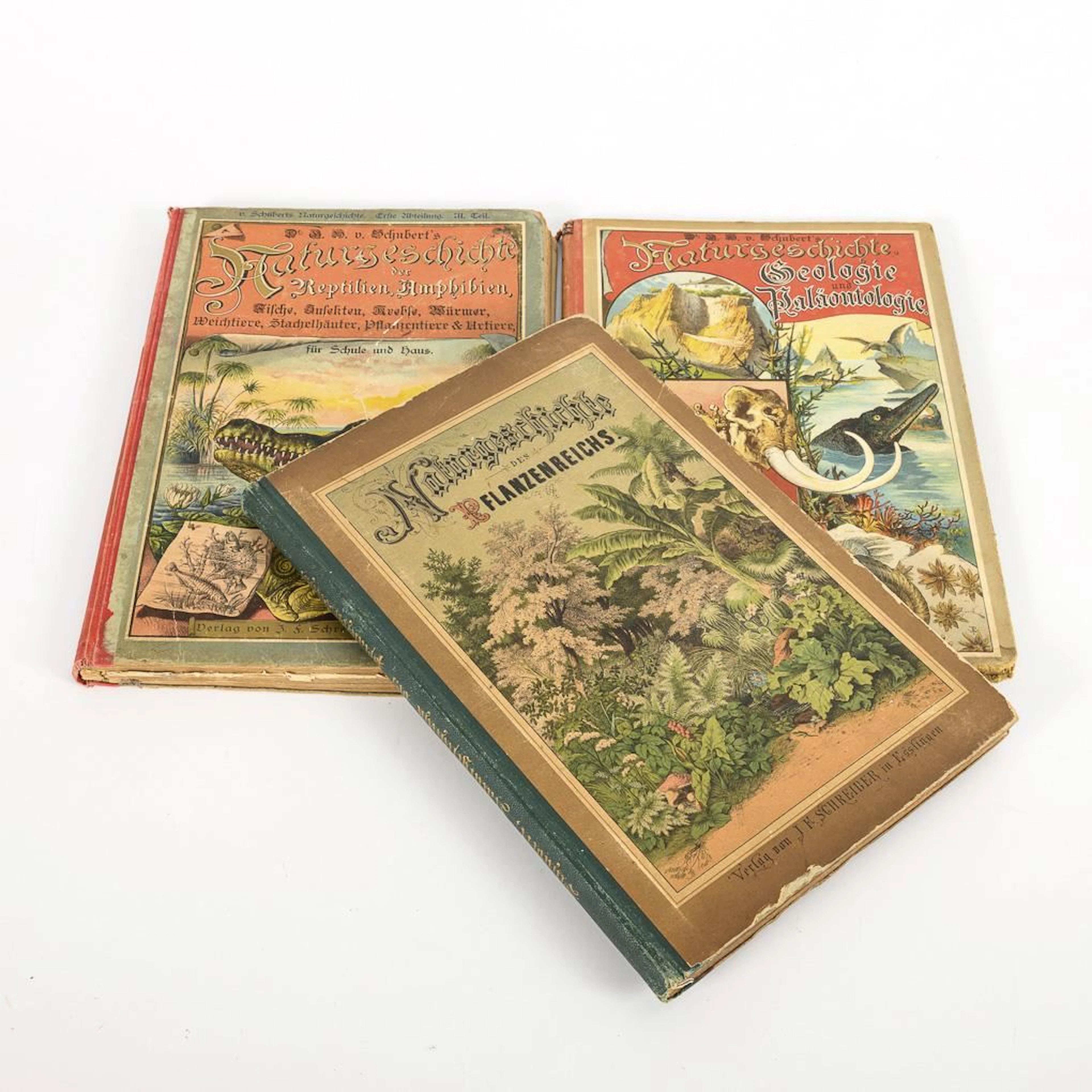 3x Schubert's Natural History