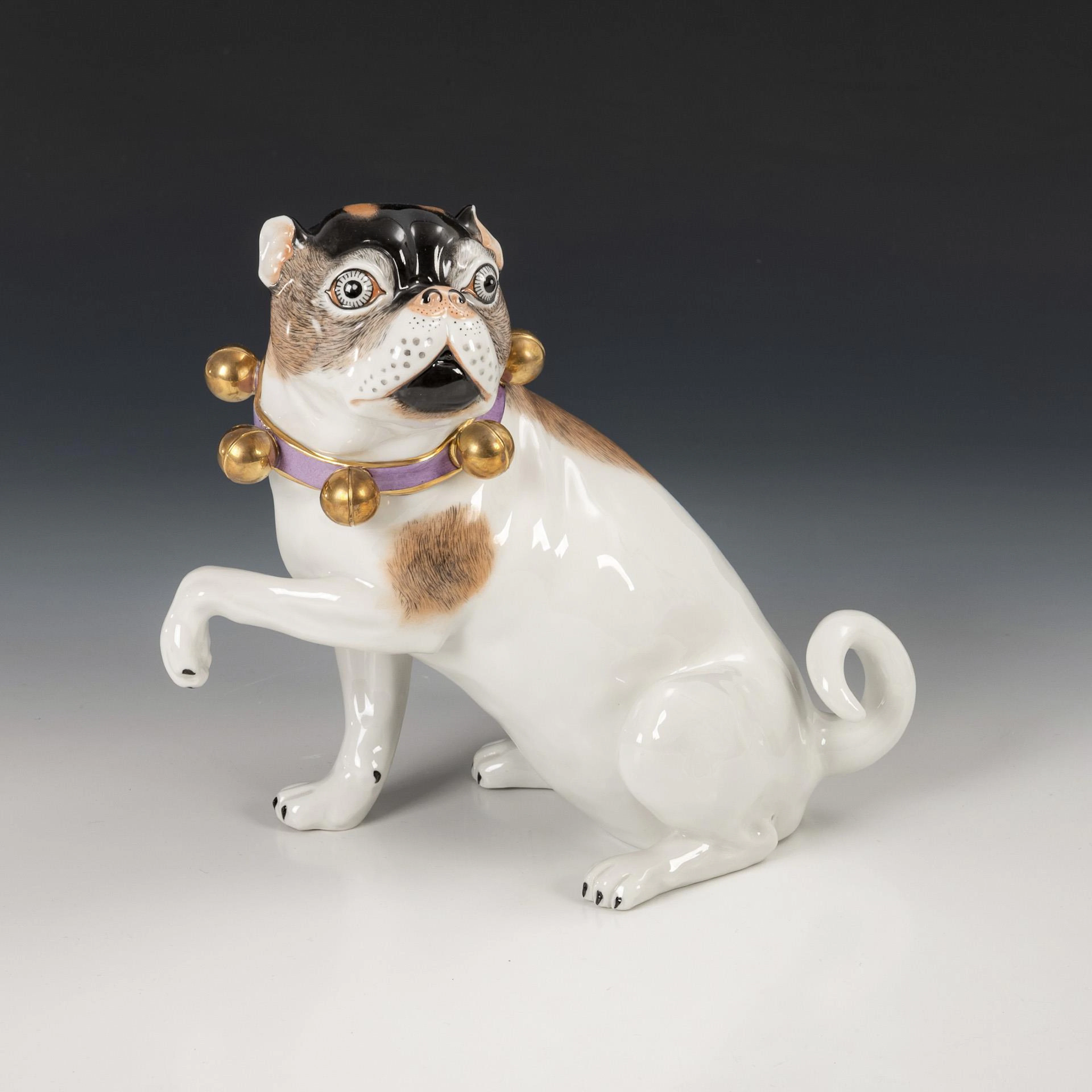 Big pug. Rudolf Kämmer.