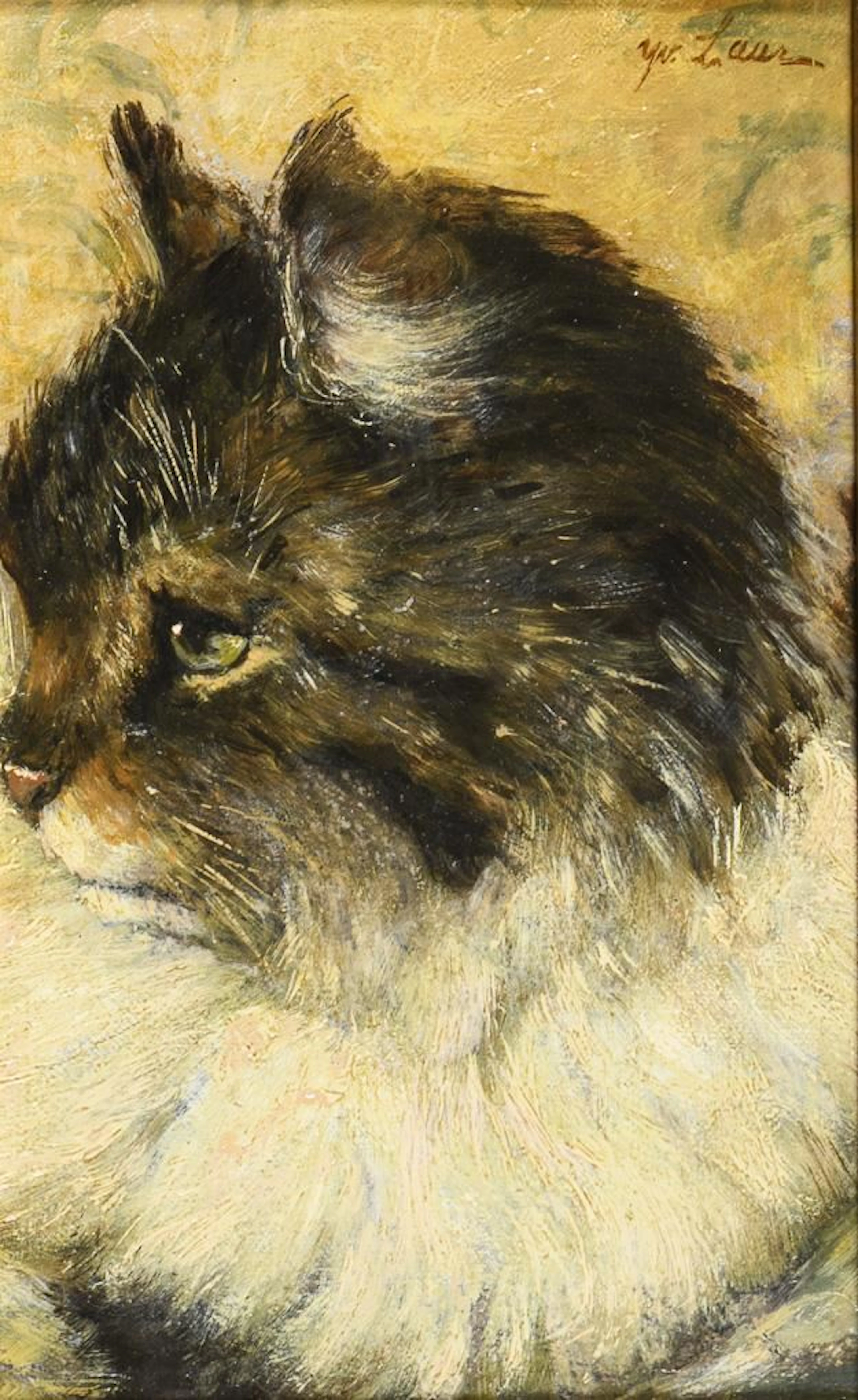 Indistinctly signed: Portrait of a Cat