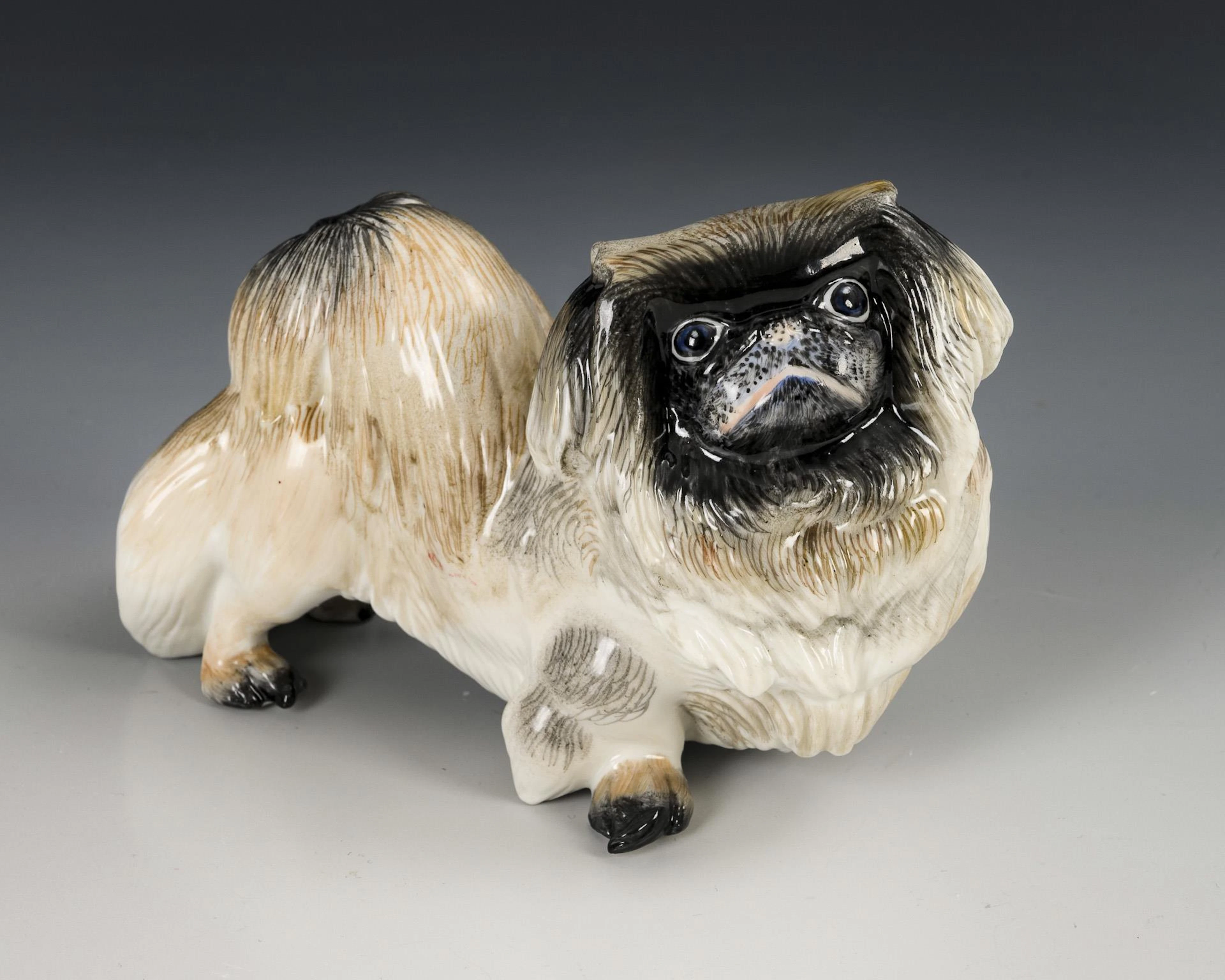 Pekinese. Nymphenburg.
