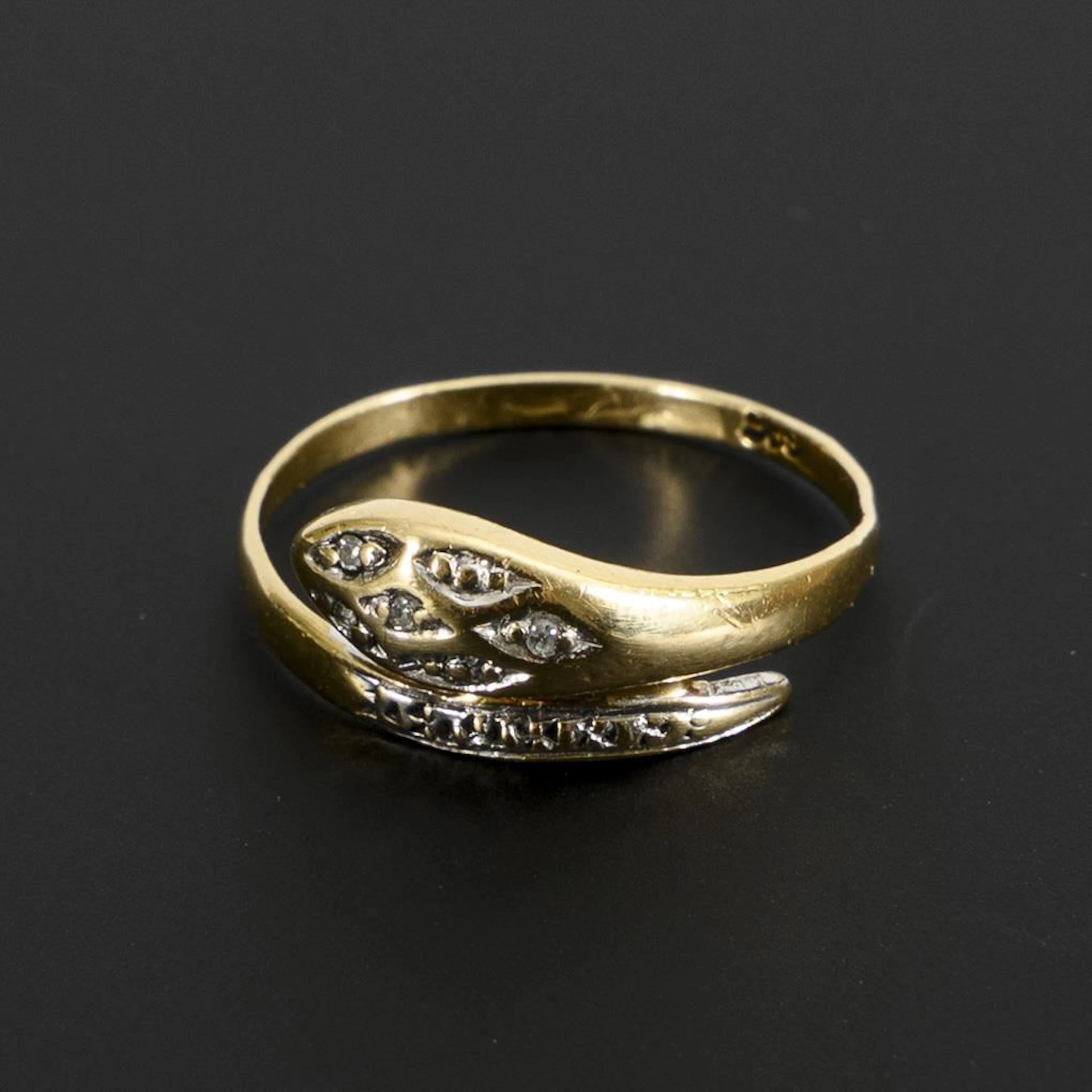 Snake-shaped ring.