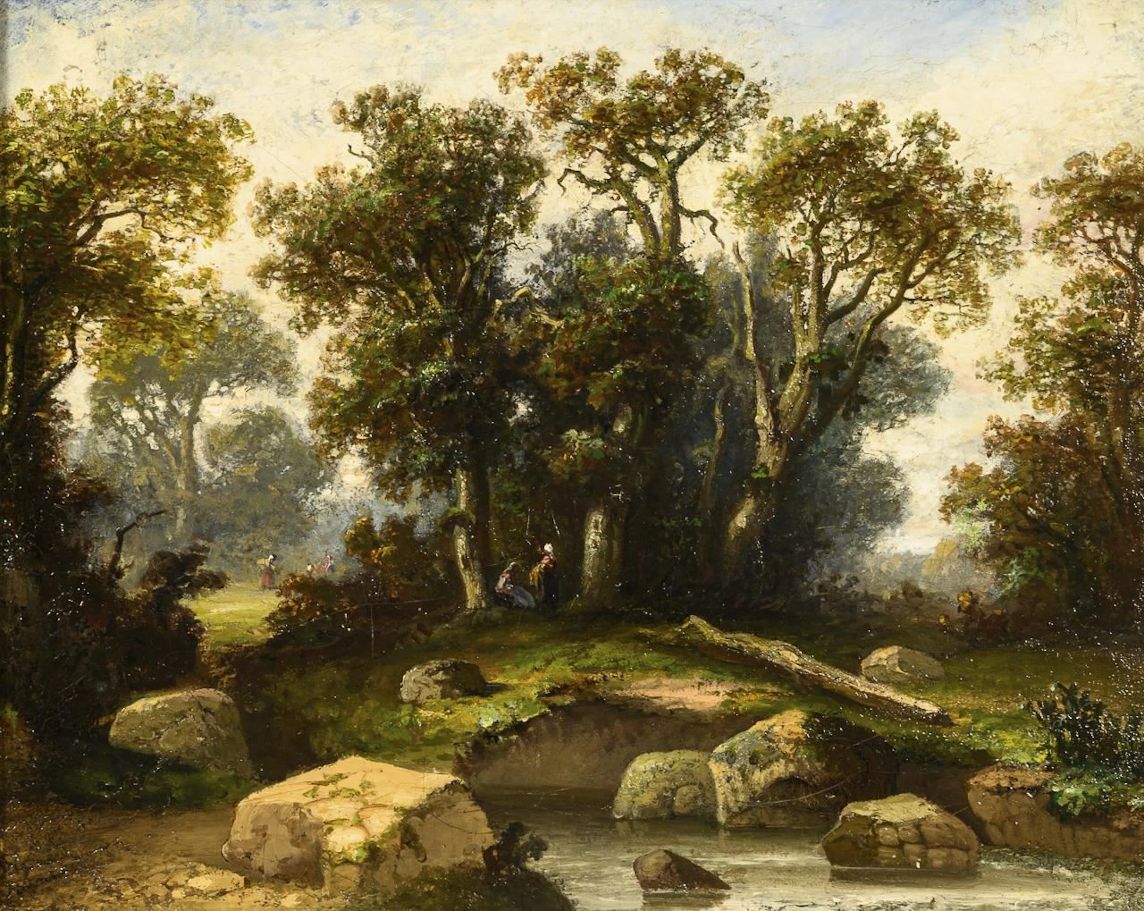 Rocky Forest Landscape