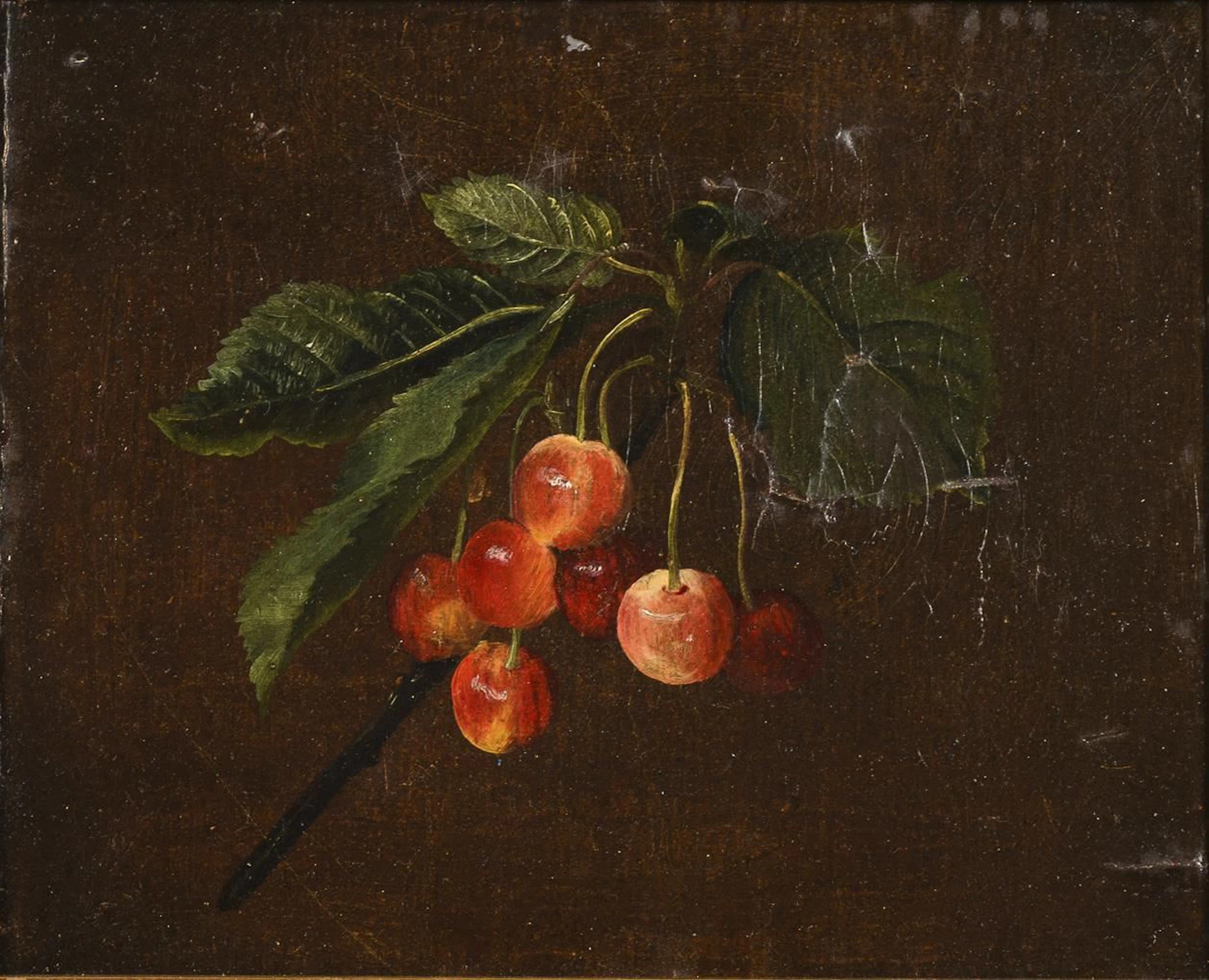 ANONYMOUS, ANONYMOUS, ANONYMOUS, Branch with Cherries