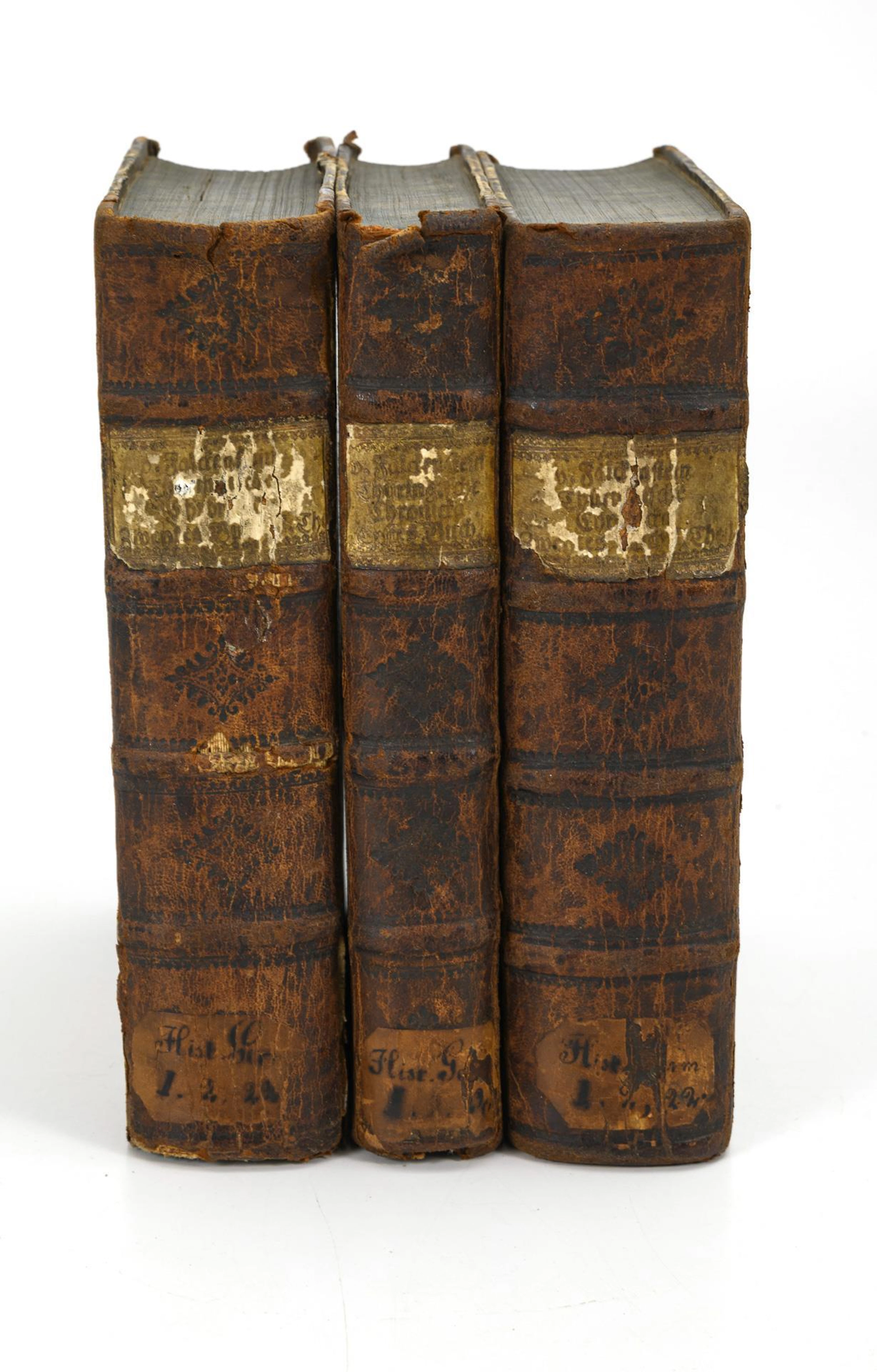 VON FALCKENSTEIN, Johann Heinrich, VON FALCKENSTEIN, Johann Heinrich
