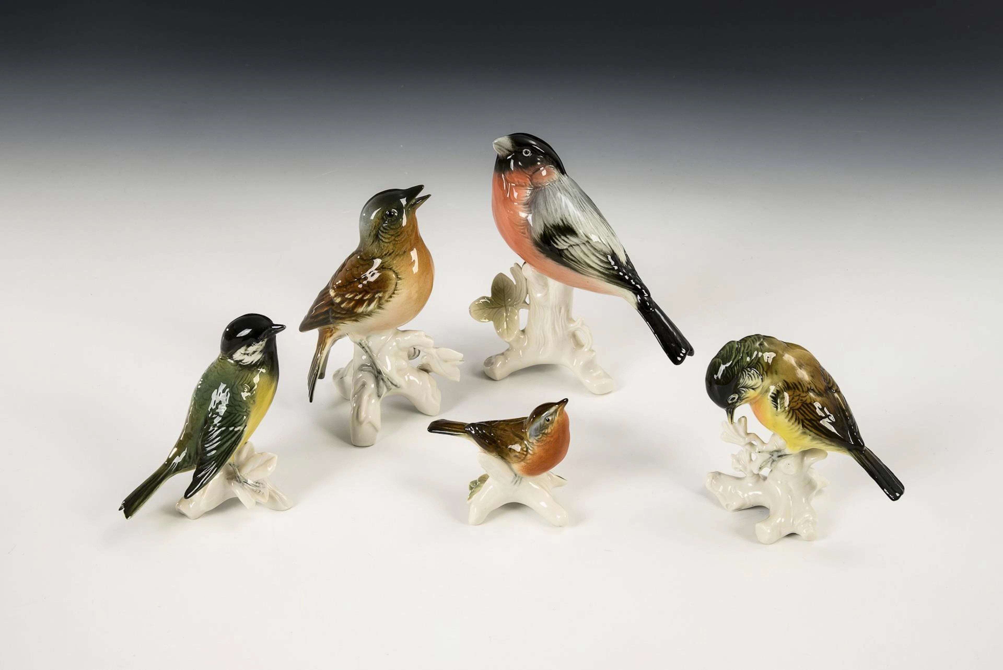 5 birds. ENS.