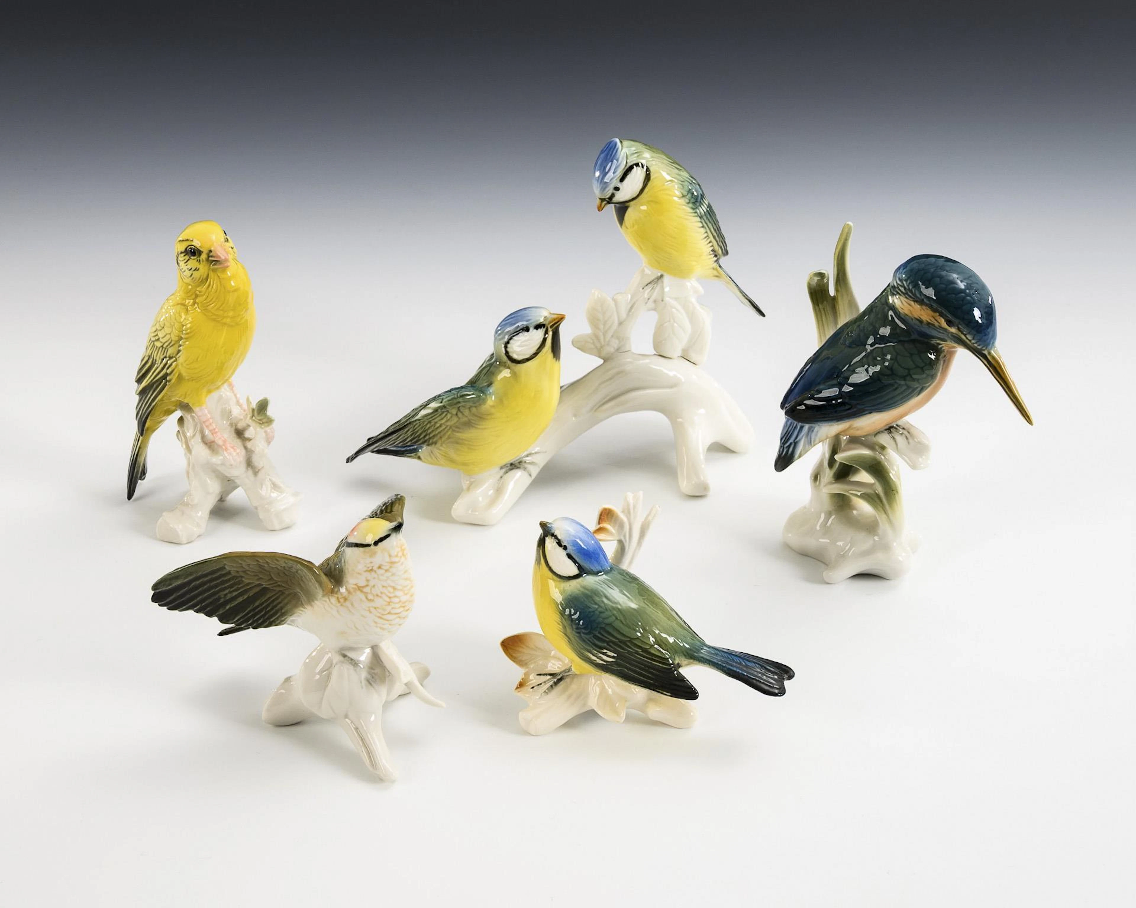 Bird group and 4 birds. ENS.