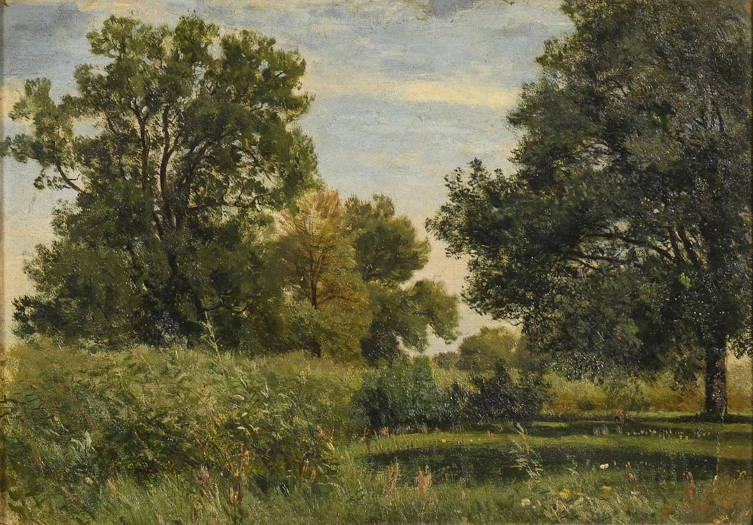 Summer Landscape