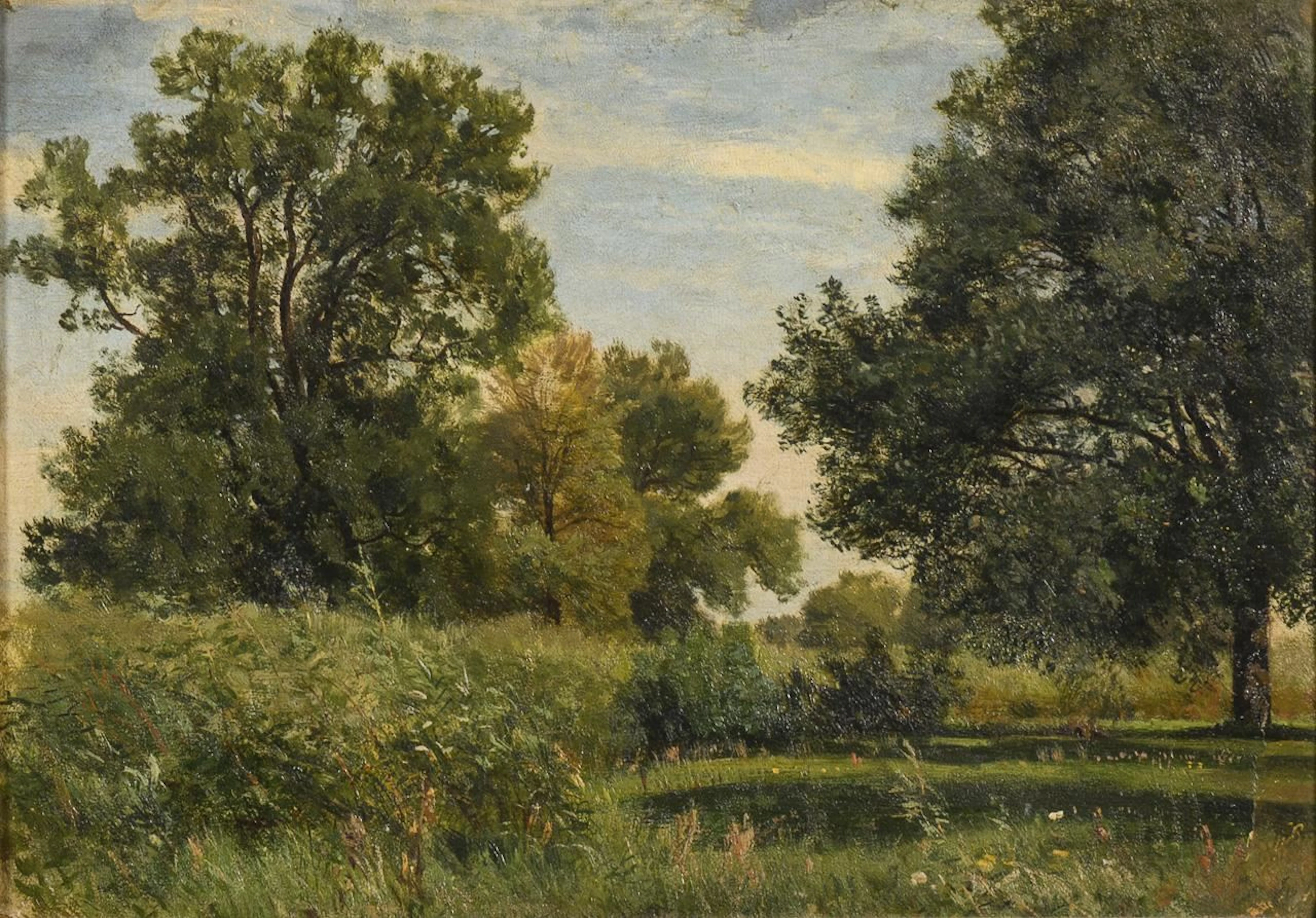Summer Landscape