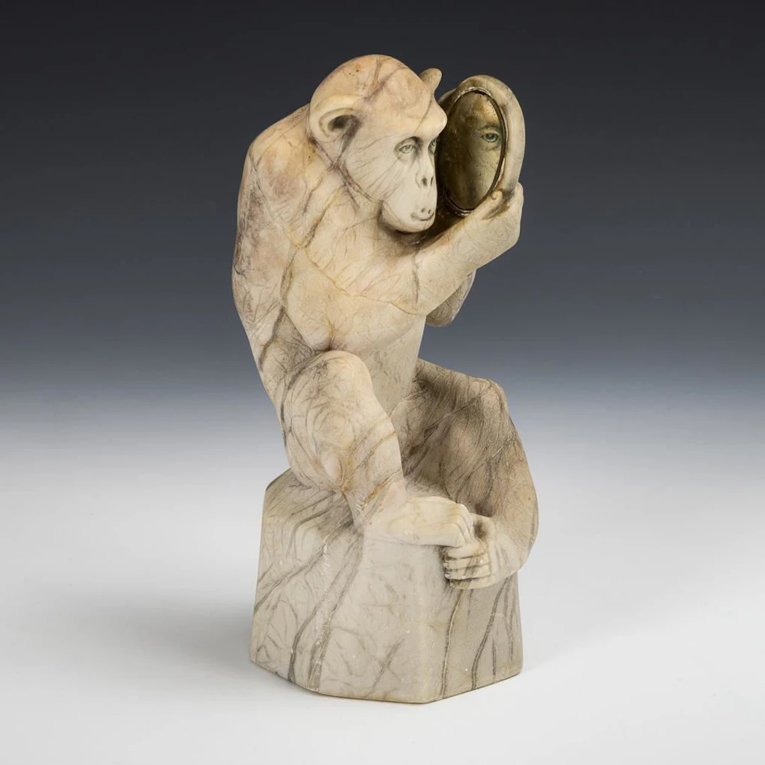 Monkey with a Mirror