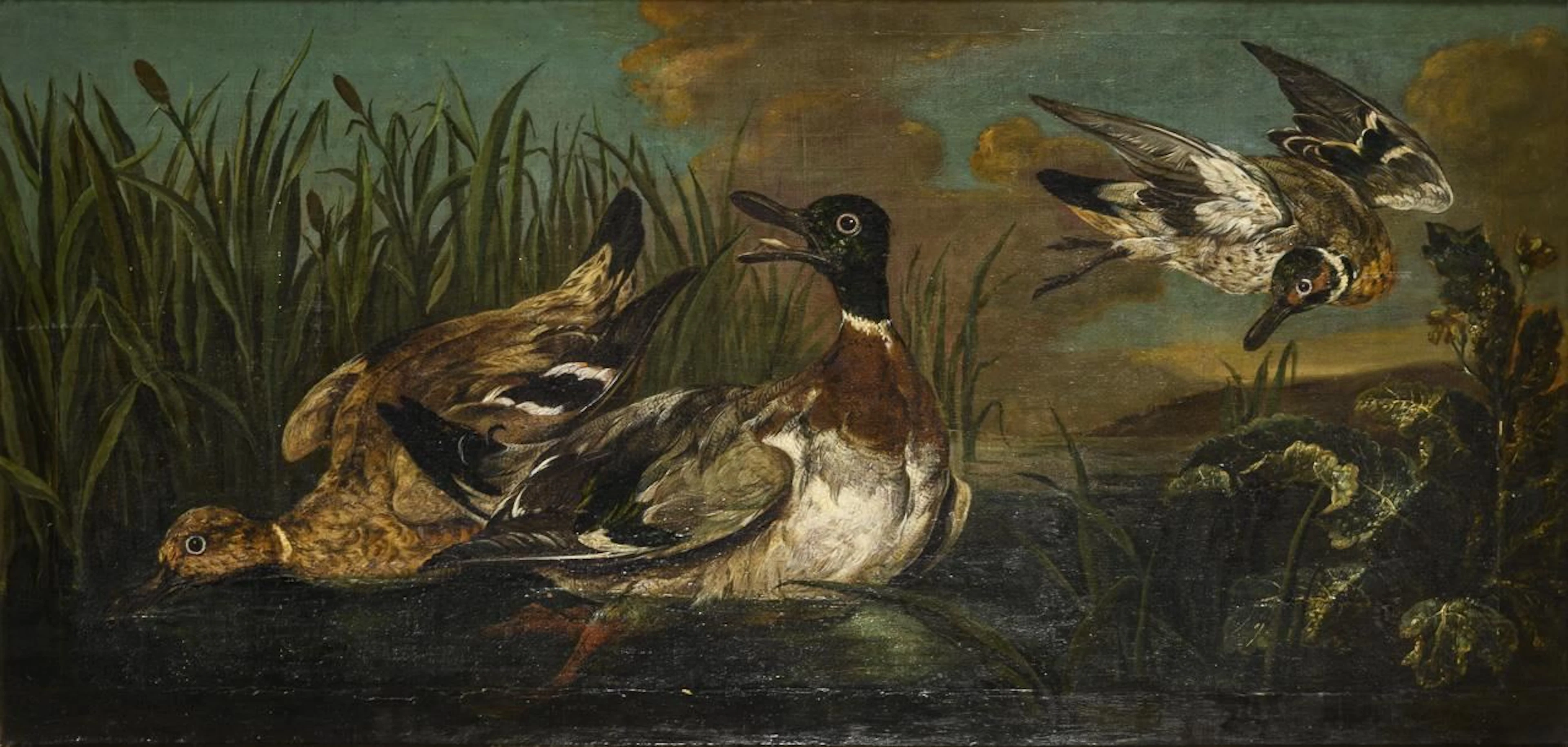 UTRECHT, Adriaen van (?), UTRECHT, Adriaen van (?), Ducks in the Reeds