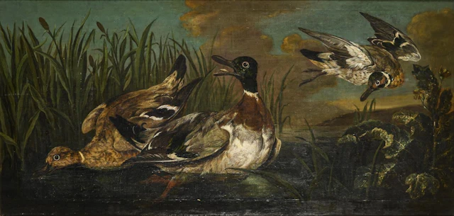 UTRECHT, Adriaen van (?), UTRECHT, Adriaen van (?), Ducks in the Reeds