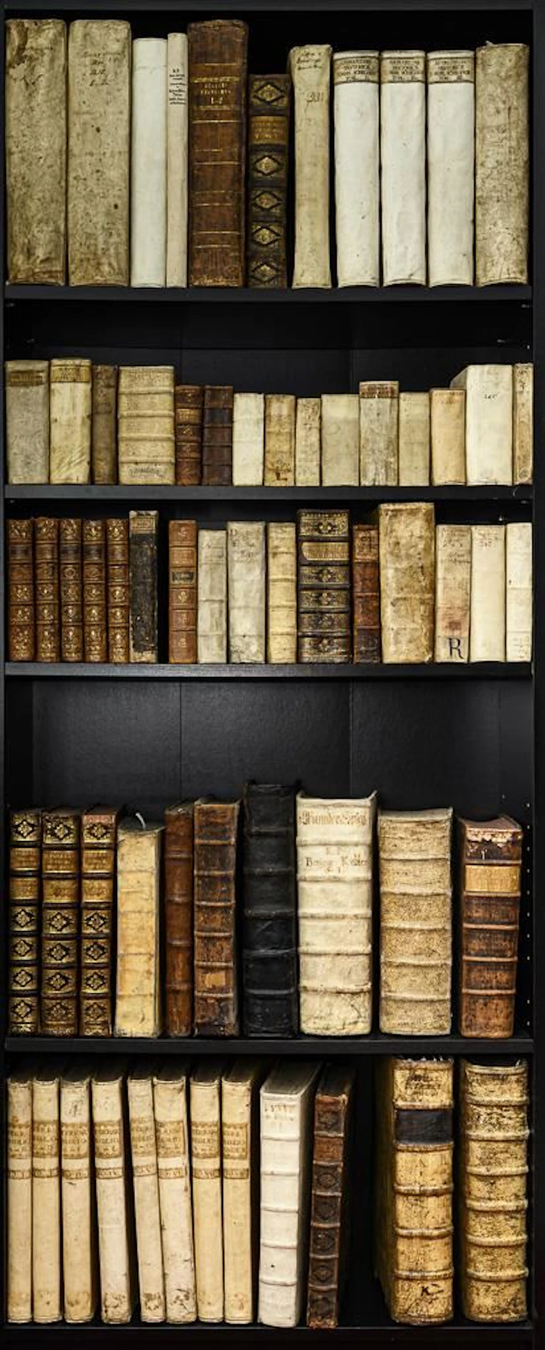 Baroque Scholars' Library, 17th/18th Century
