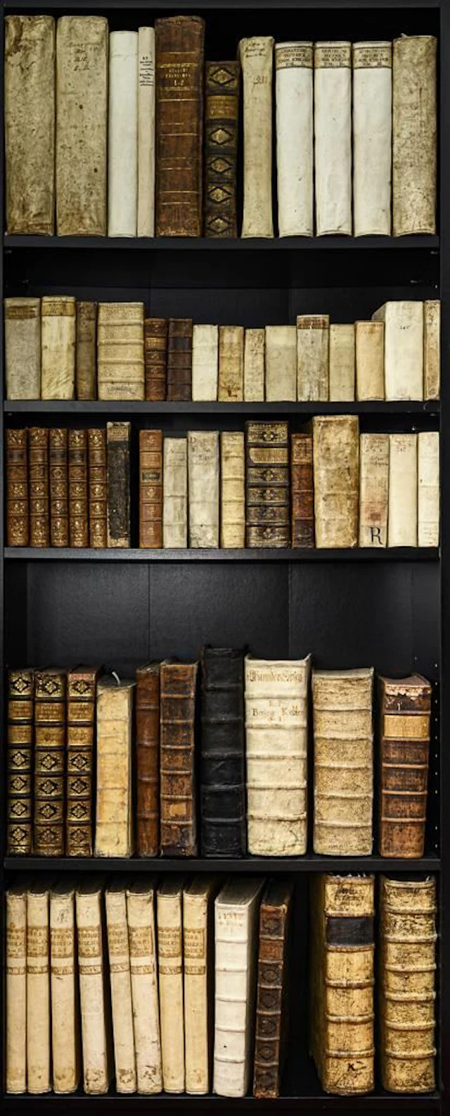 Baroque Scholars' Library, 17th/18th Century
